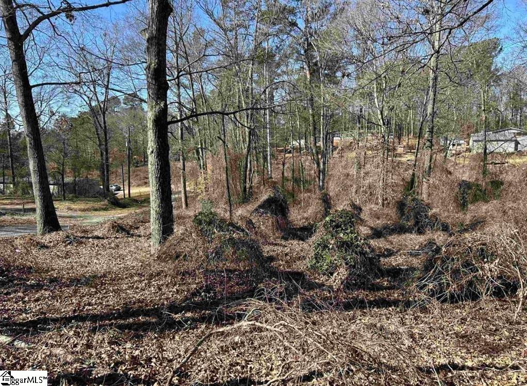 00 Wynette Way Inman, SC 29349