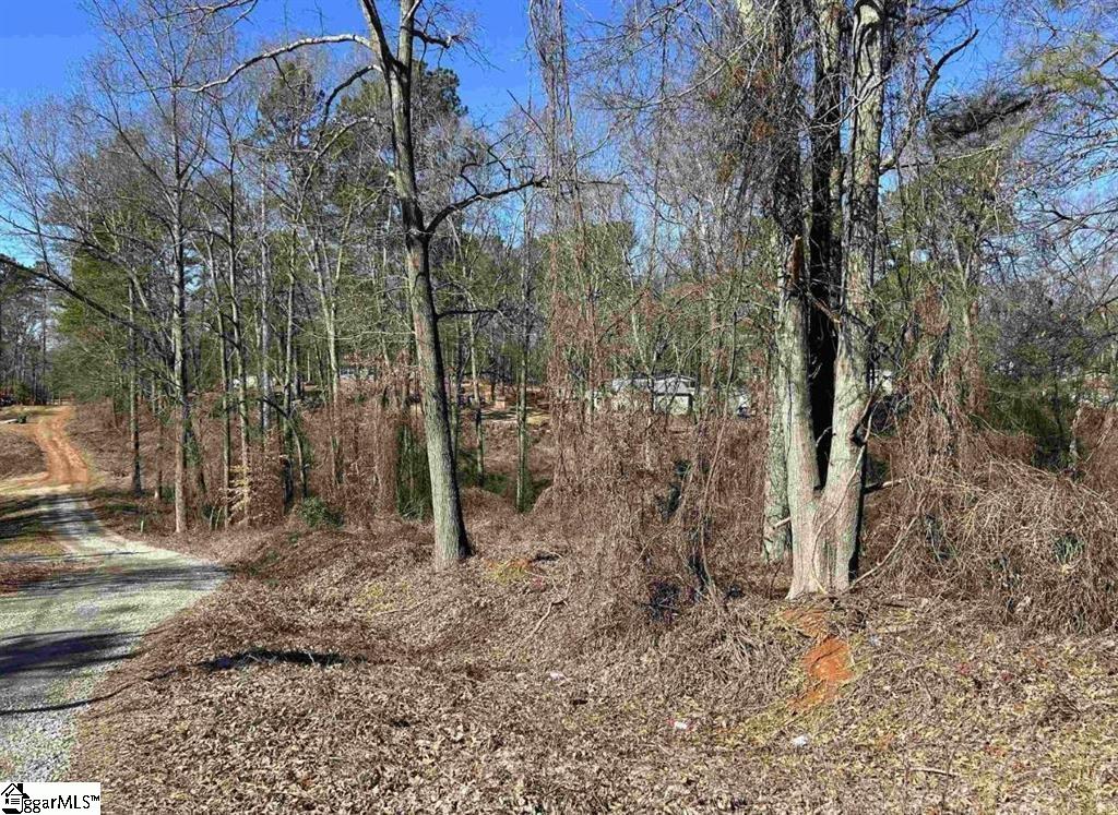00 Wynette Way Inman, SC 29349