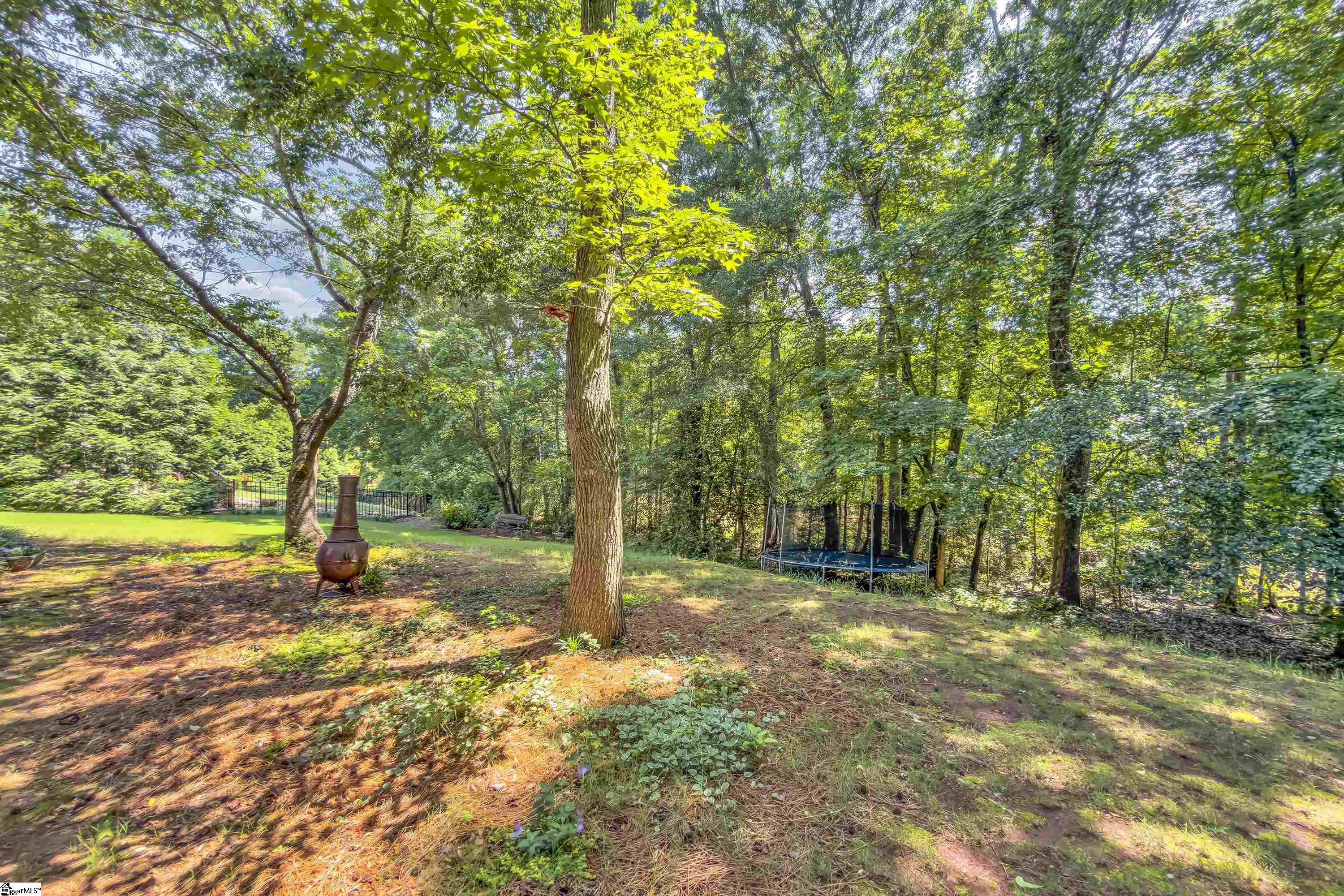 316 New Tarleton Way Greer, SC 29650