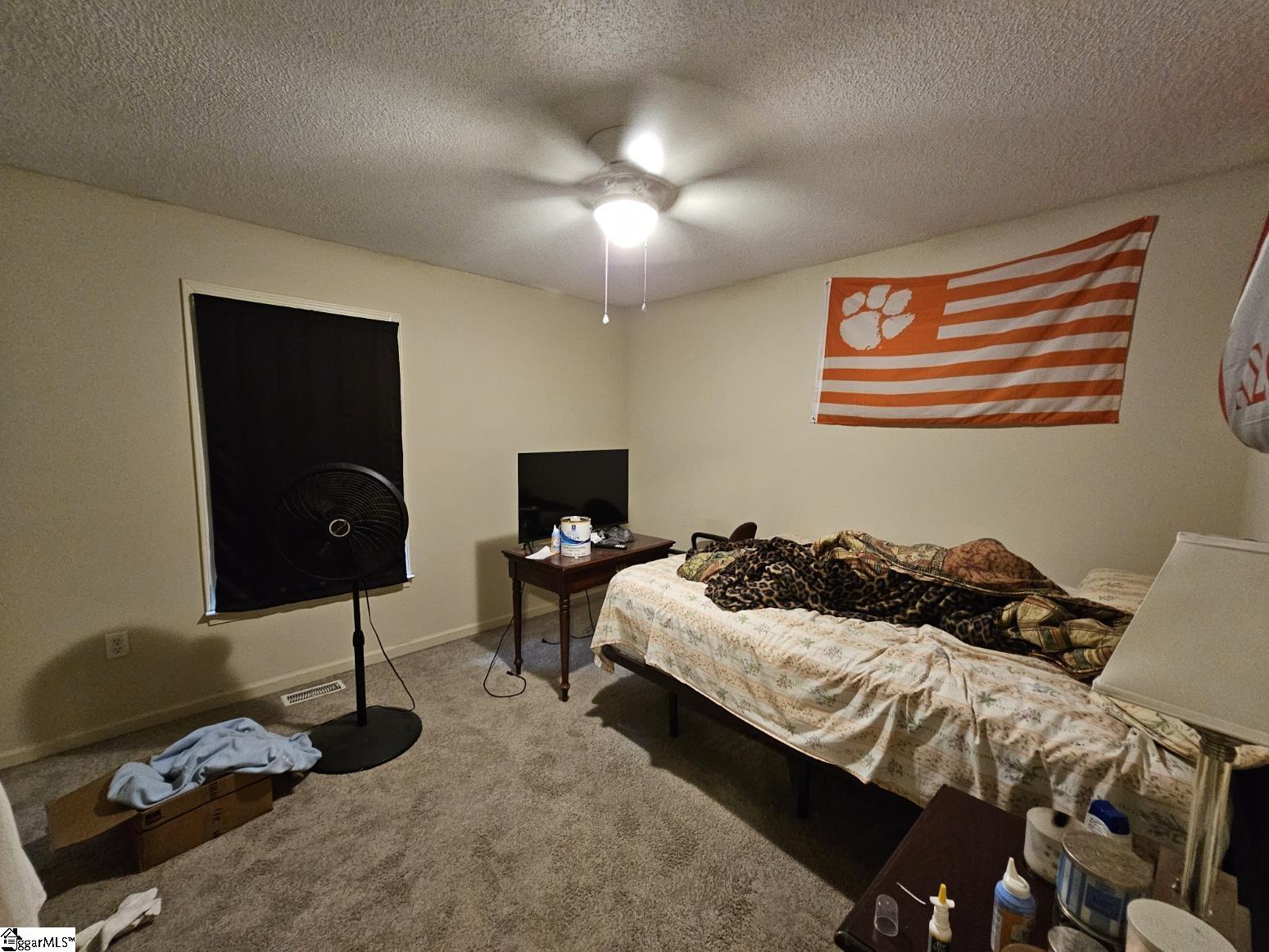 1108 Tiger Boulevard UNIT #156 Clemson, SC 29631