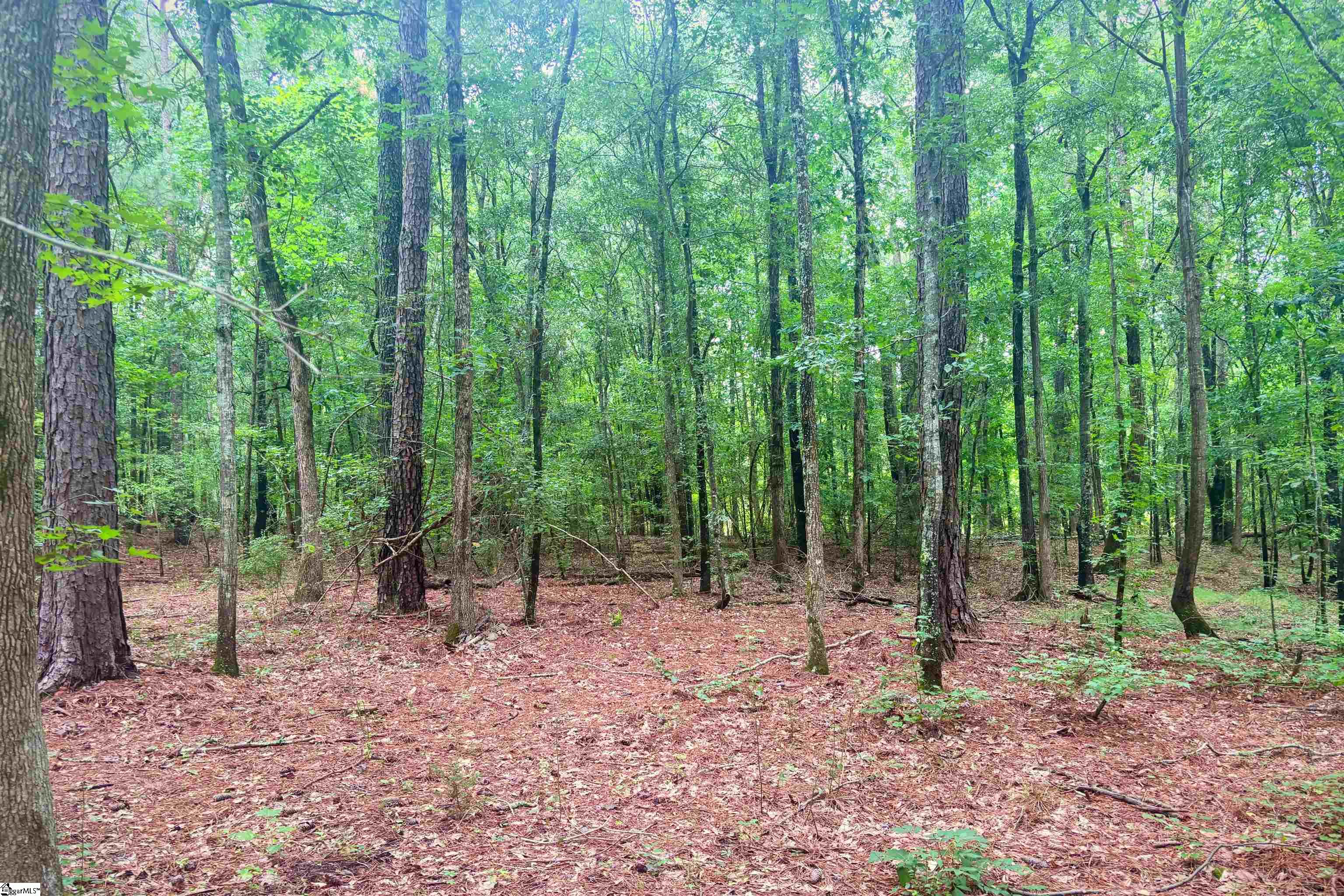 6th image of 0 Harris Springs Rd, Cross Hill, SC 29332 | MLS# 1600247