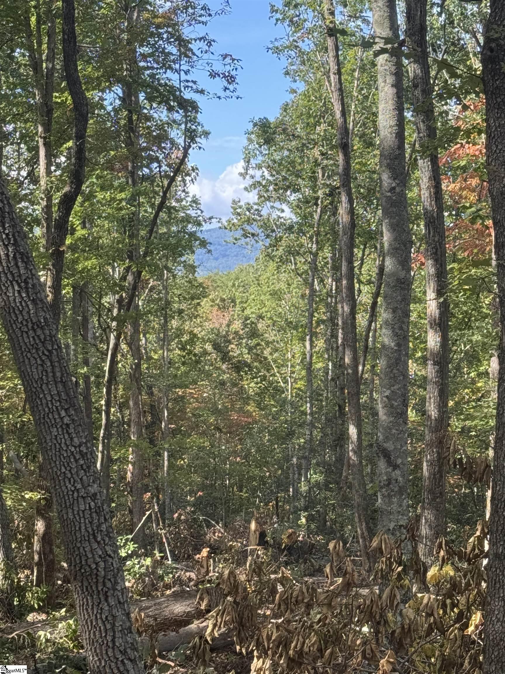 3rd image of 00 Hawkins Rd, Greer, SC 29651 | MLS# 1600480