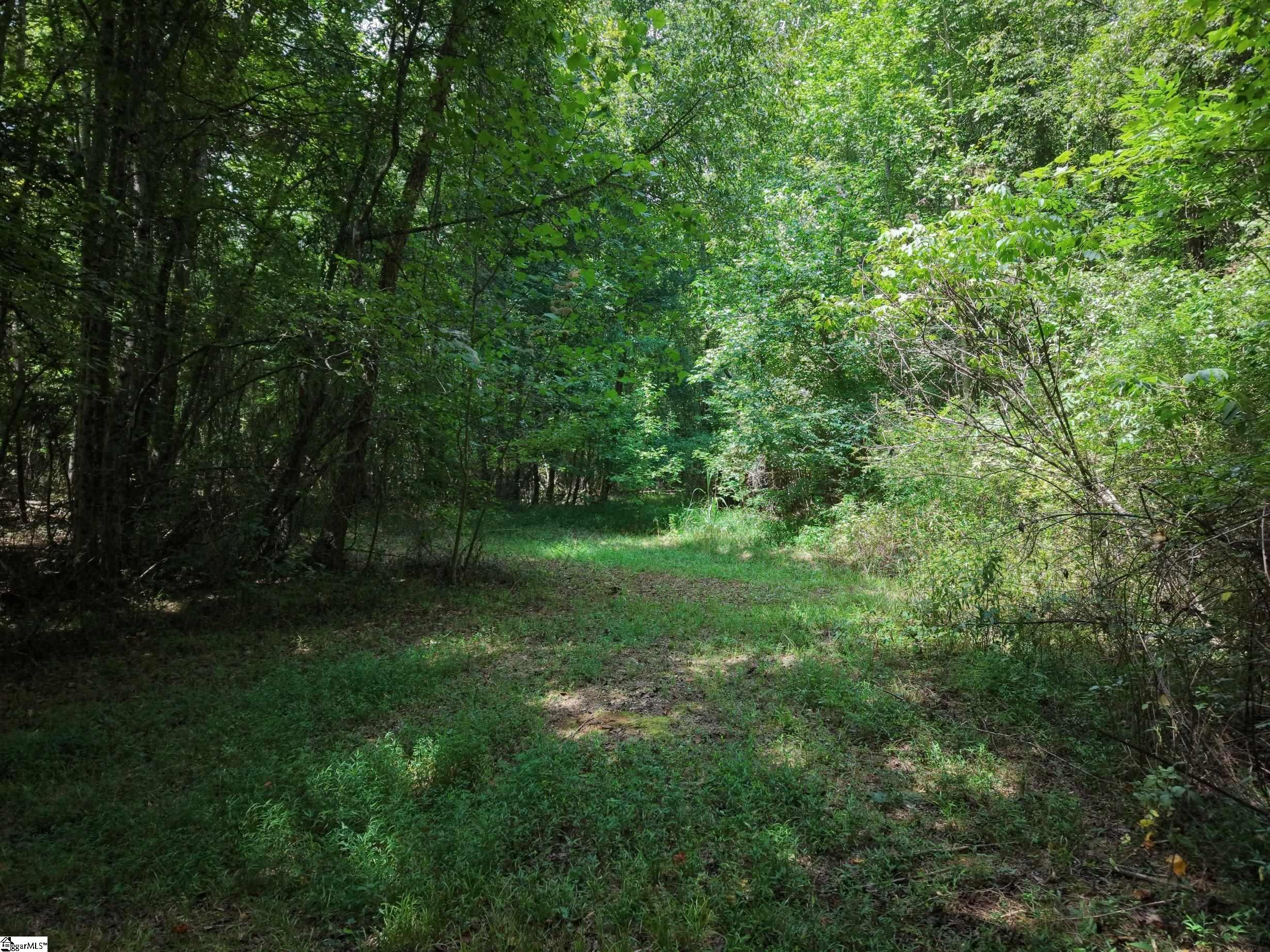 2nd image of 00 Dacusville Rd, Marietta, SC 29661 | MLS# 1600636