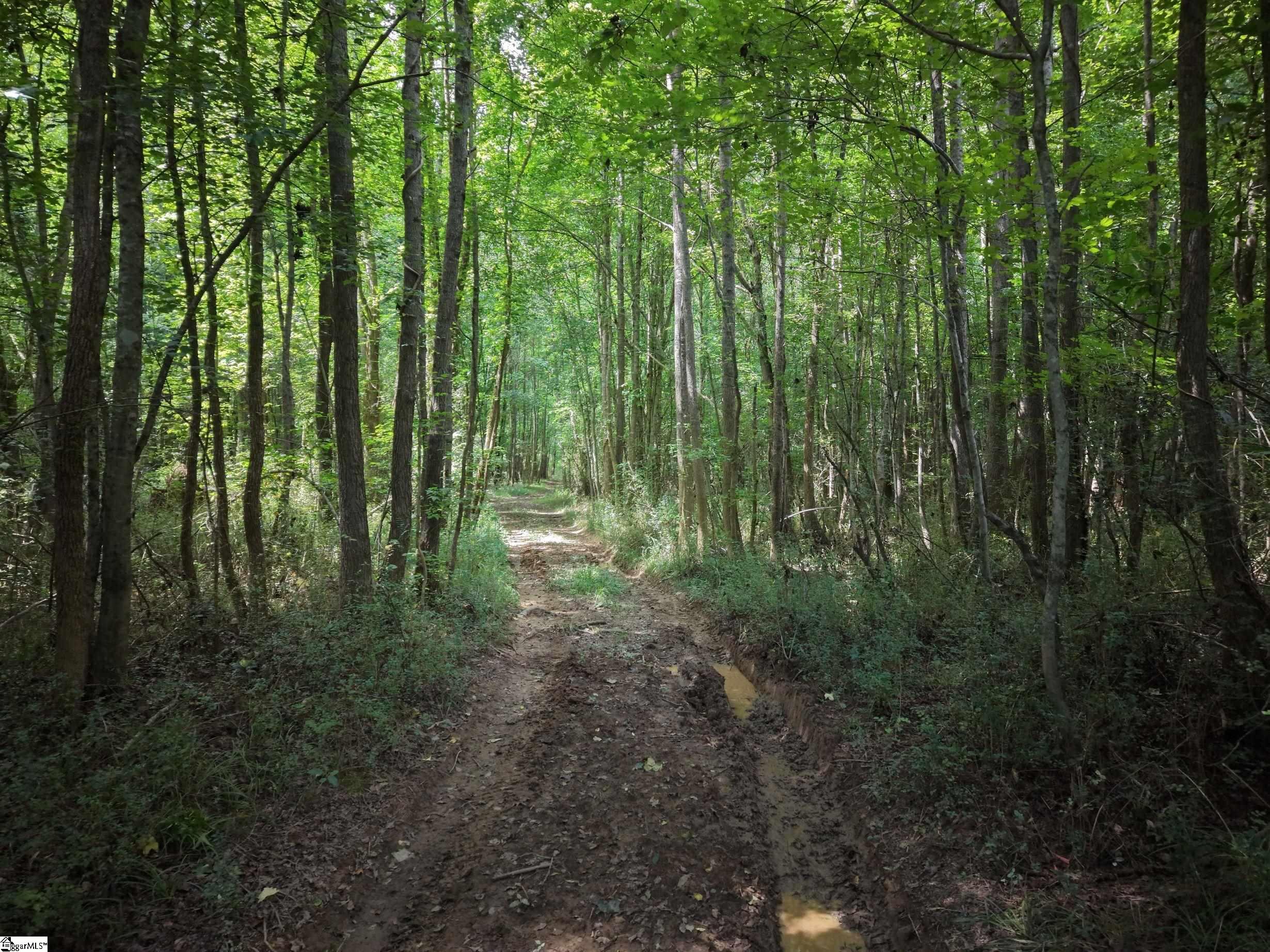 9th image of 00 Dacusville Rd, Marietta, SC 29661 | MLS# 1600636