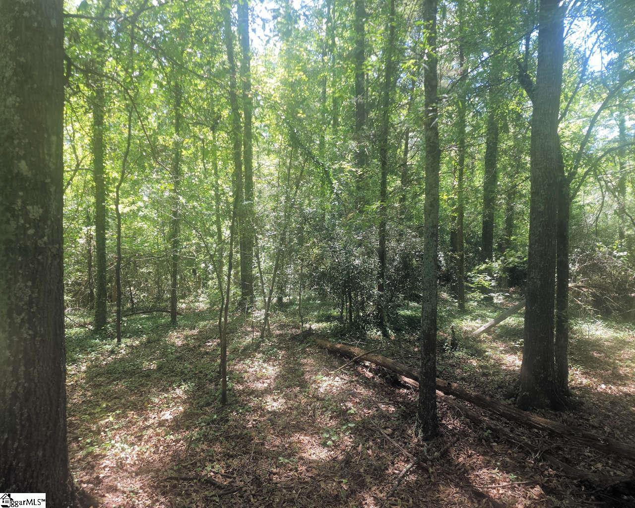 18th image of 220 Cook St, Gray Court, SC 29645 | MLS# 1600638