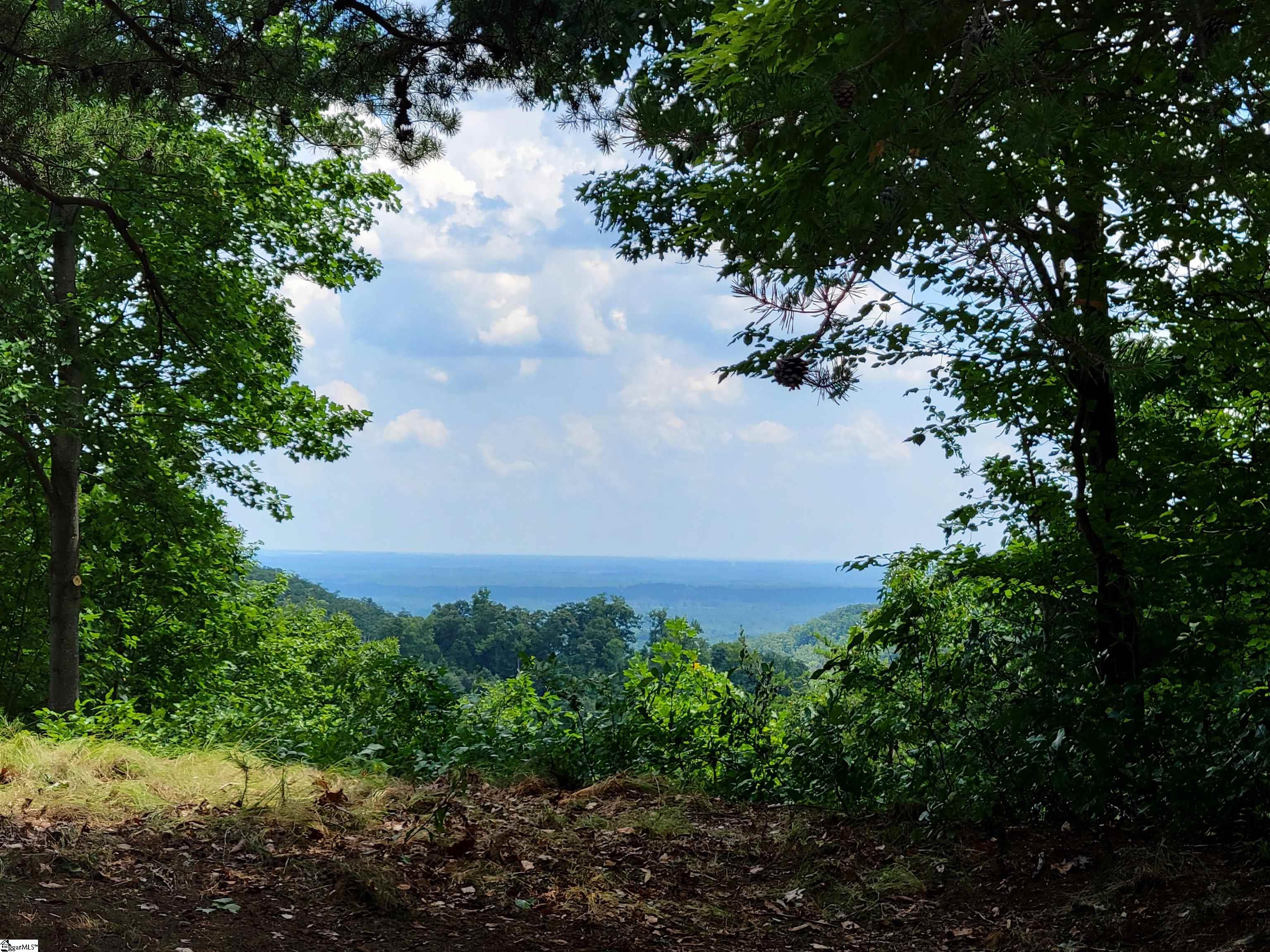 214 Craggy Rock Lane, Landrum SC 29356
