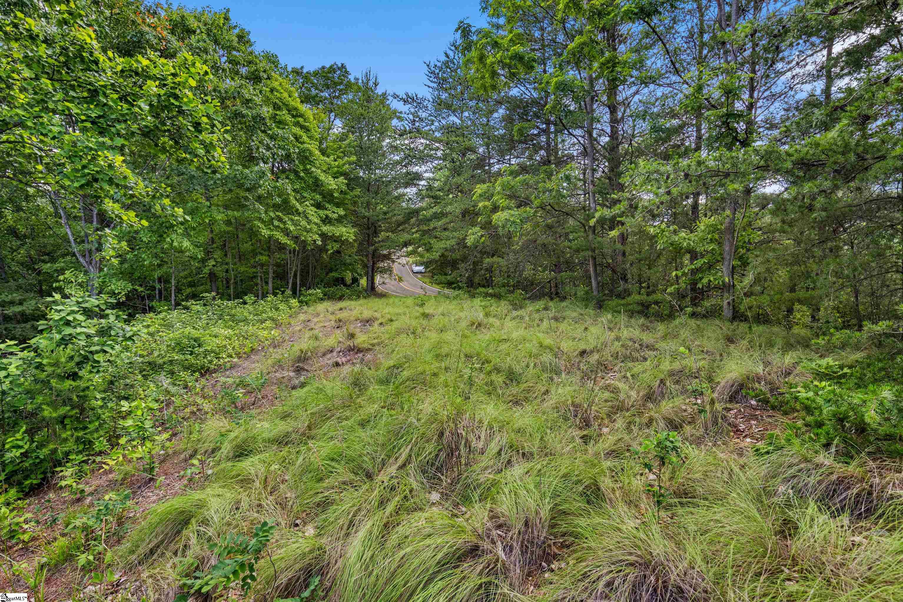 214 Craggy Rock Lane, Landrum SC 29356