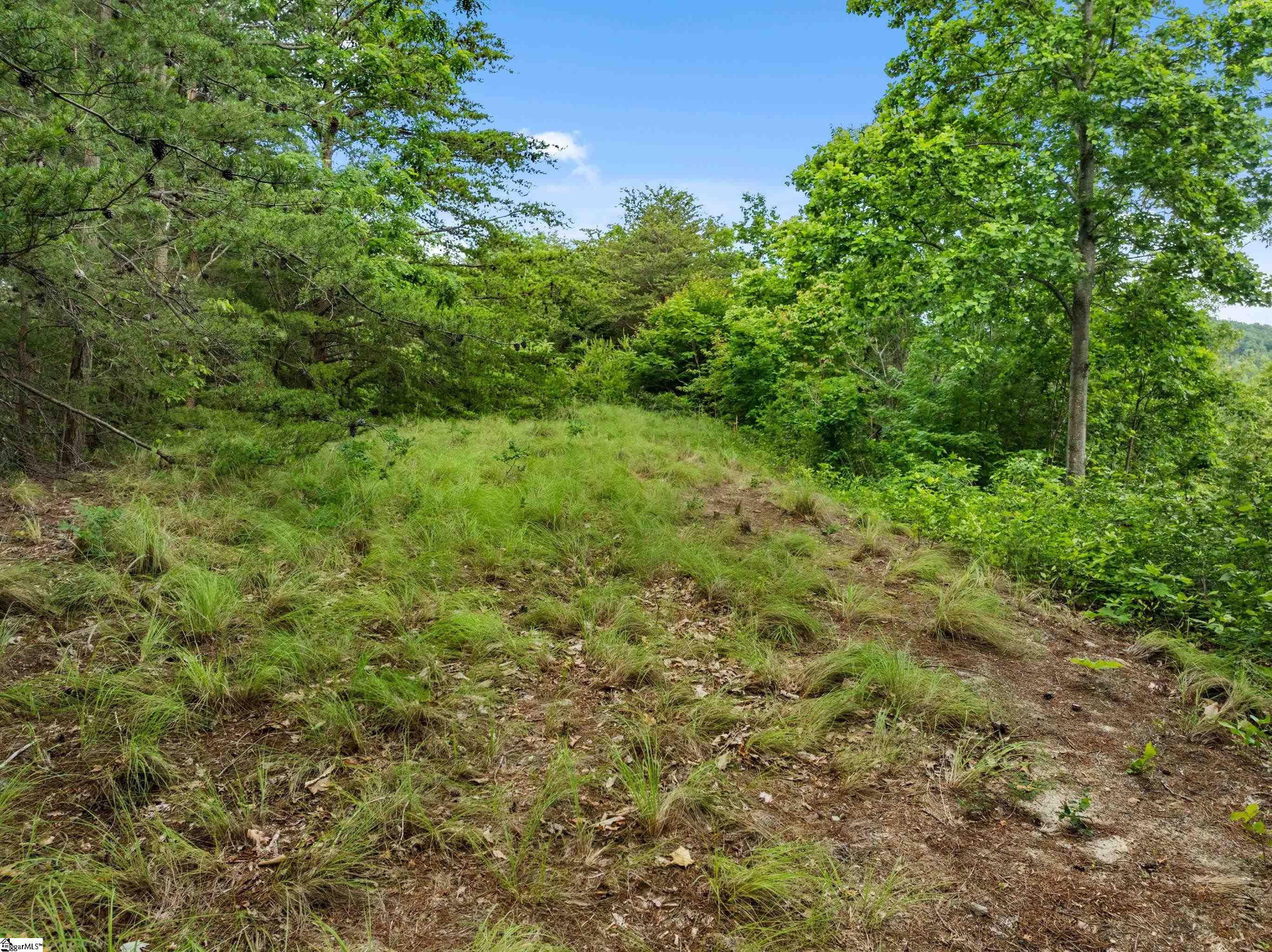 214 Craggy Rock Lane, Landrum SC 29356