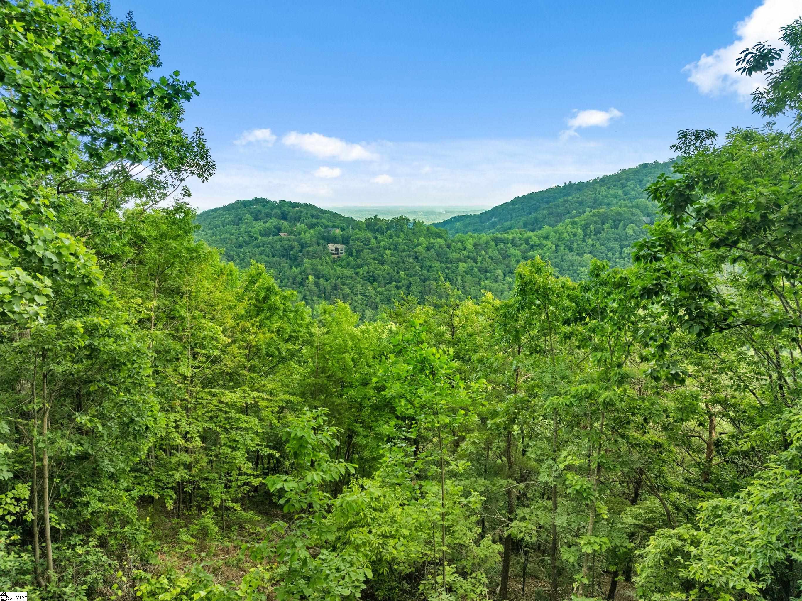 214 Craggy Rock Lane, Landrum SC 29356