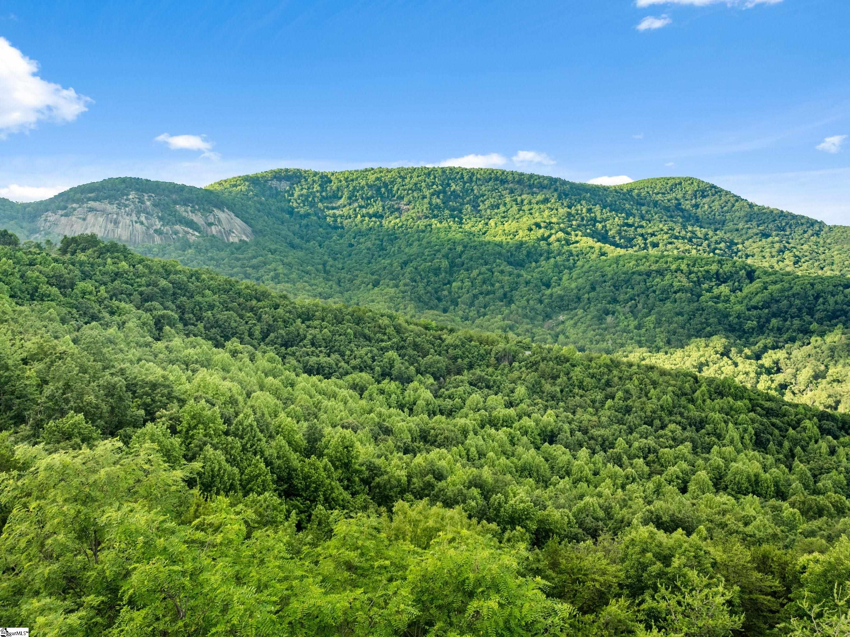 214 Craggy Rock Lane, Landrum SC 29356