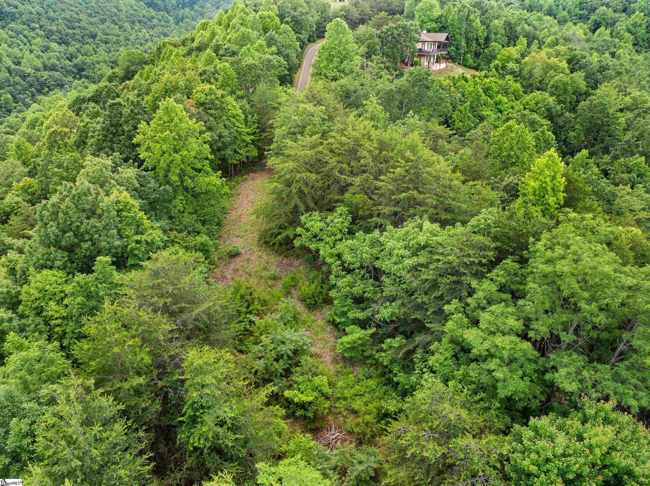 214 Craggy Rock Lane, Landrum SC 29356