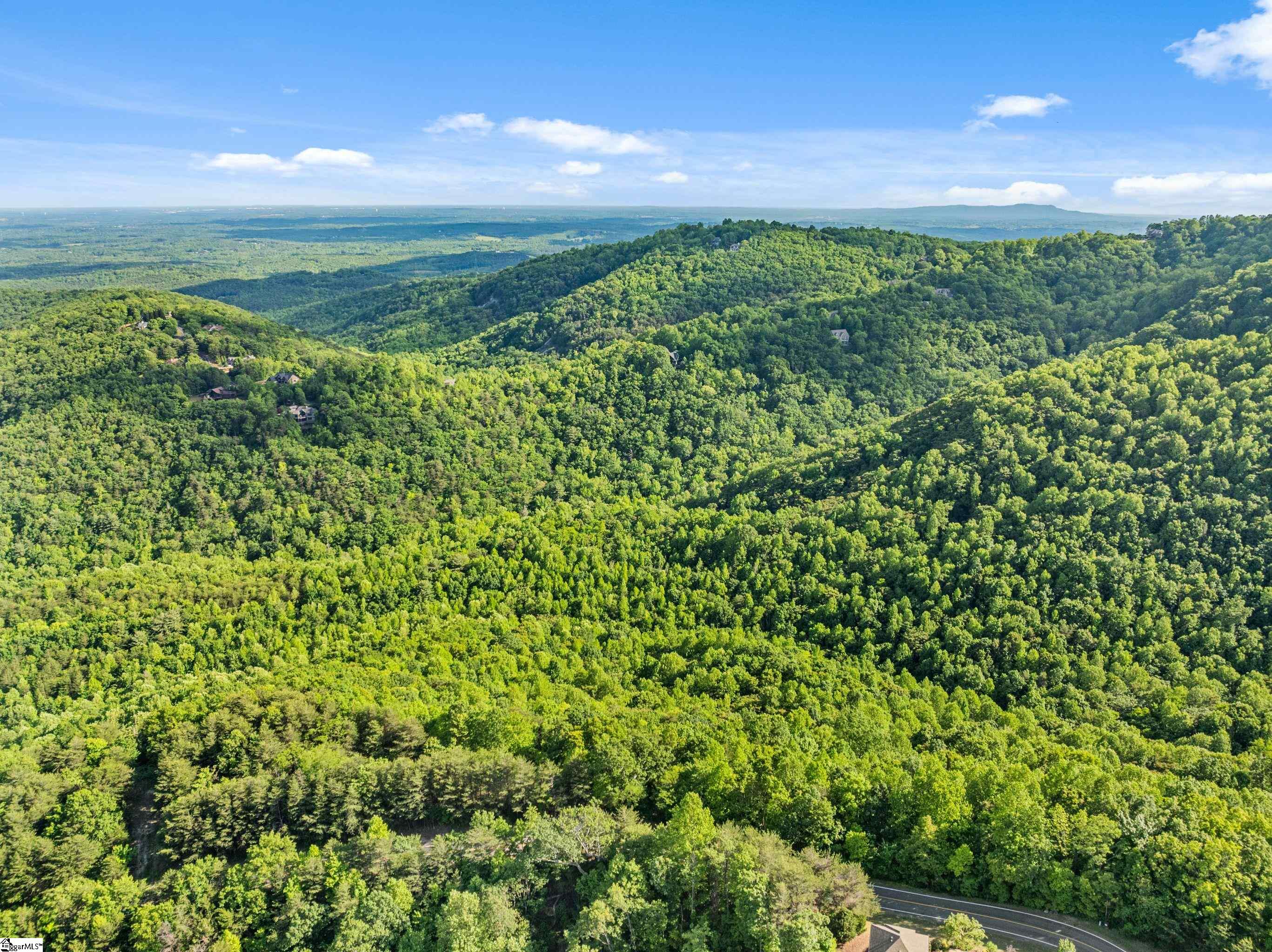 214 Craggy Rock Lane, Landrum SC 29356