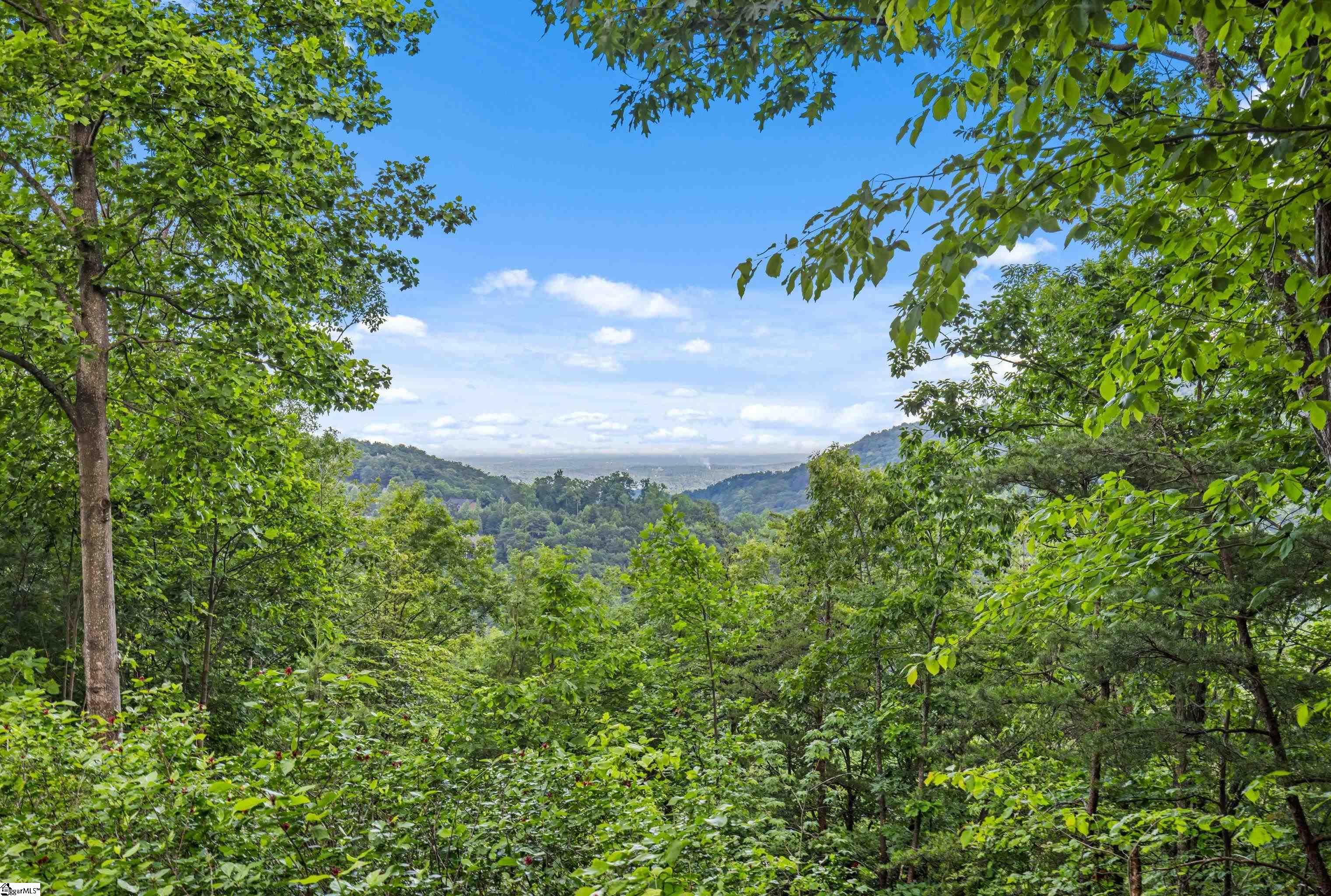 Photo 3 of Land for sale at 214 Craggy Rock Ln, Landrum, SC 29356 | MLS# 1601098 | Listing updated on 2026-09-18
