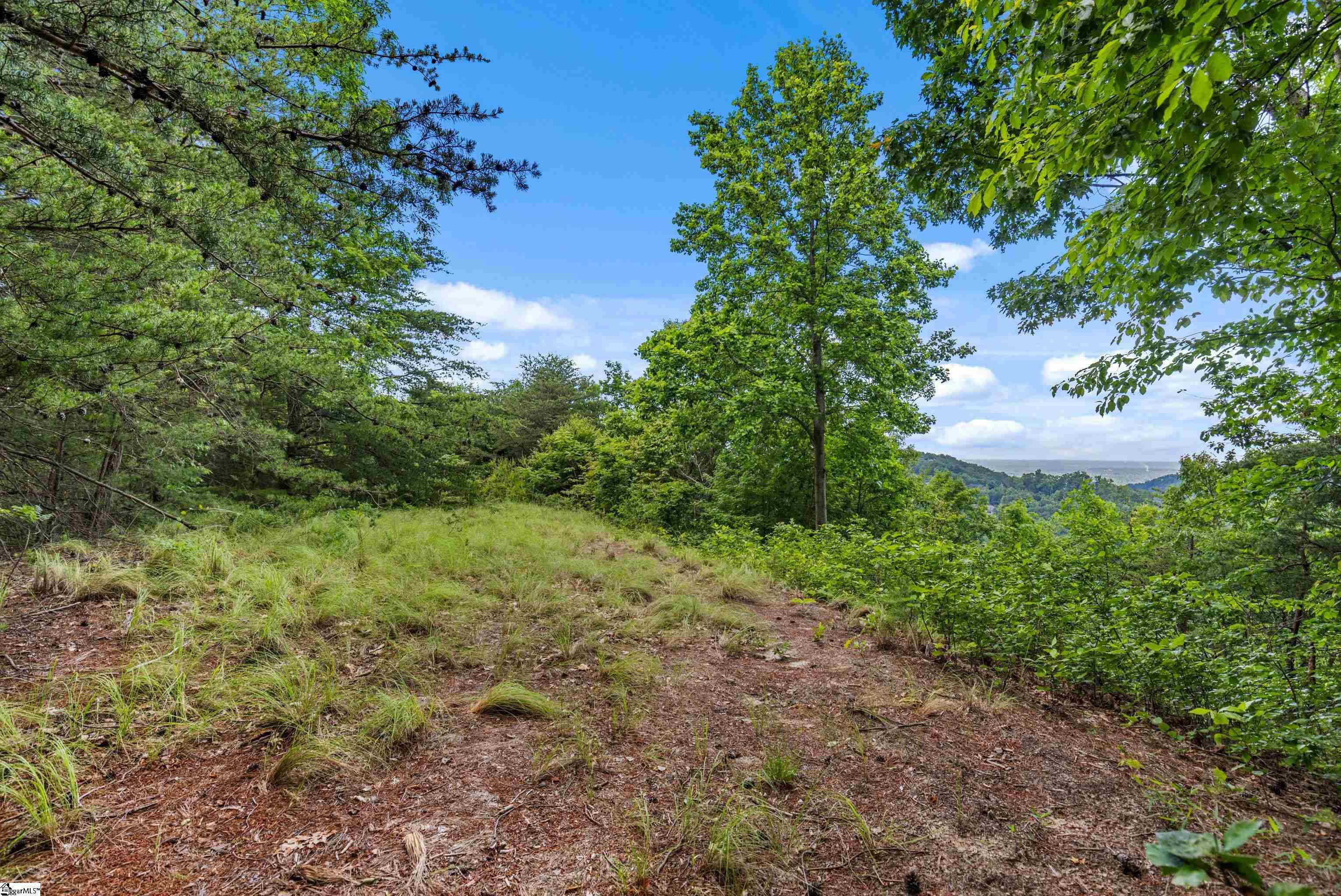 Photo 3 of Land for sale at 214 Craggy Rock Ln, Landrum, SC 29356 | MLS# 1601098 | Listing updated on 2026-09-18