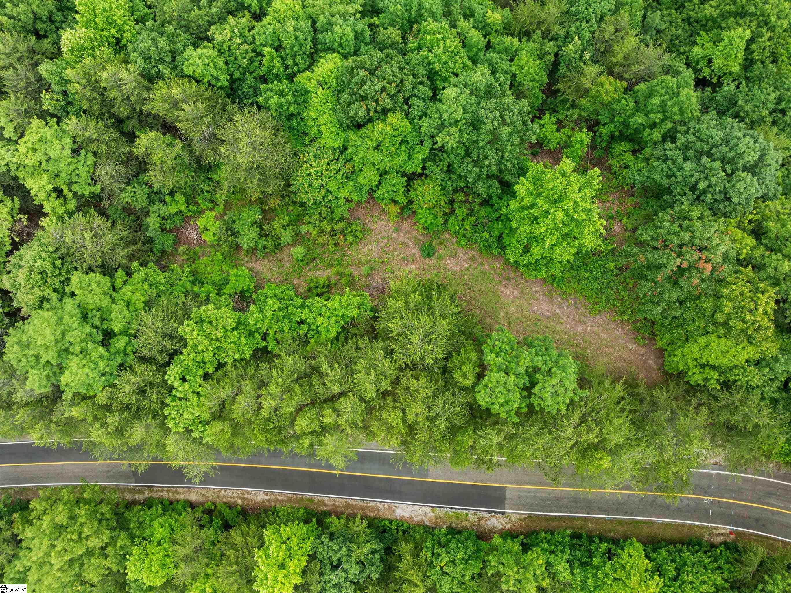 214 Craggy Rock Lane, Landrum SC 29356