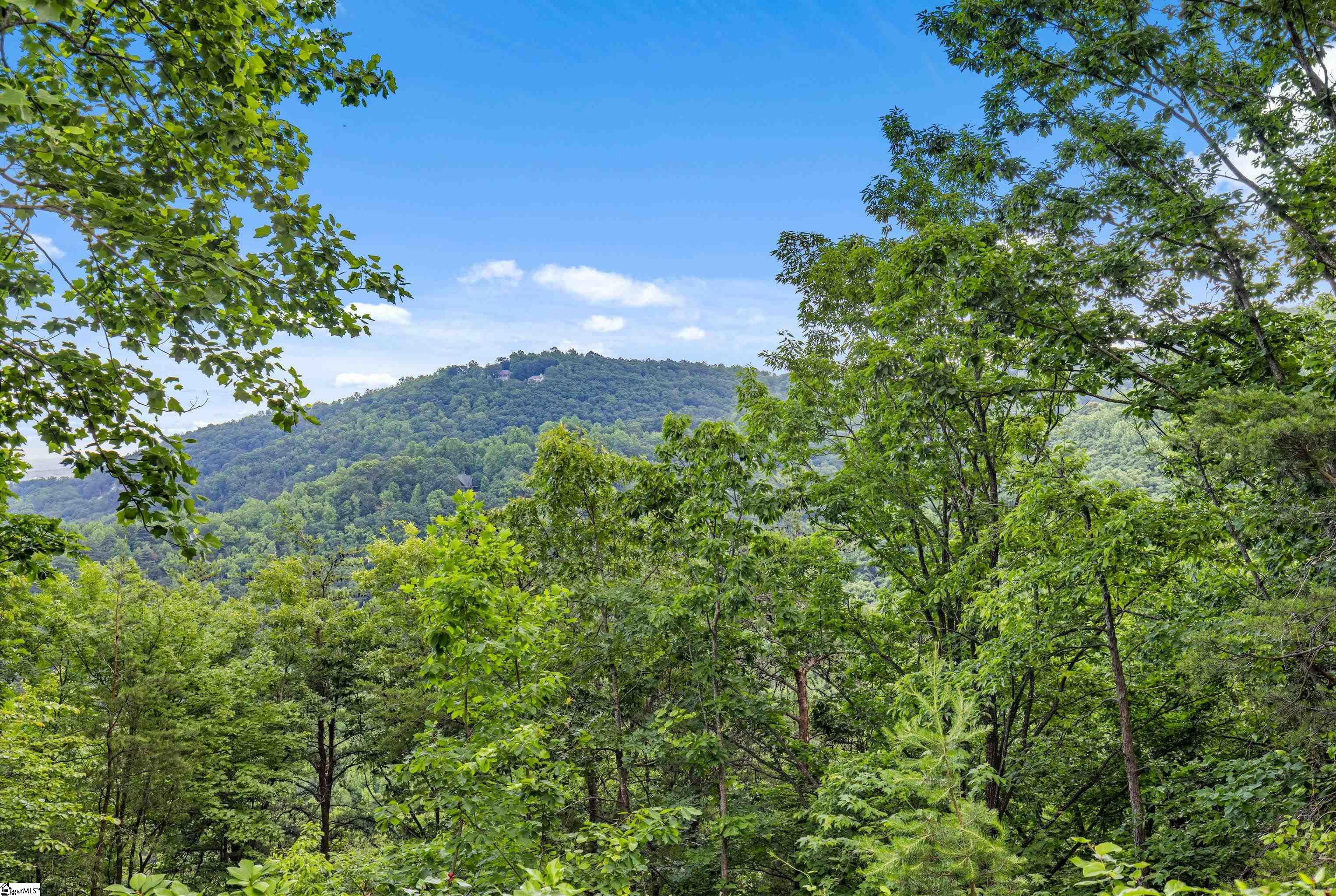 214 Craggy Rock Lane, Landrum SC 29356