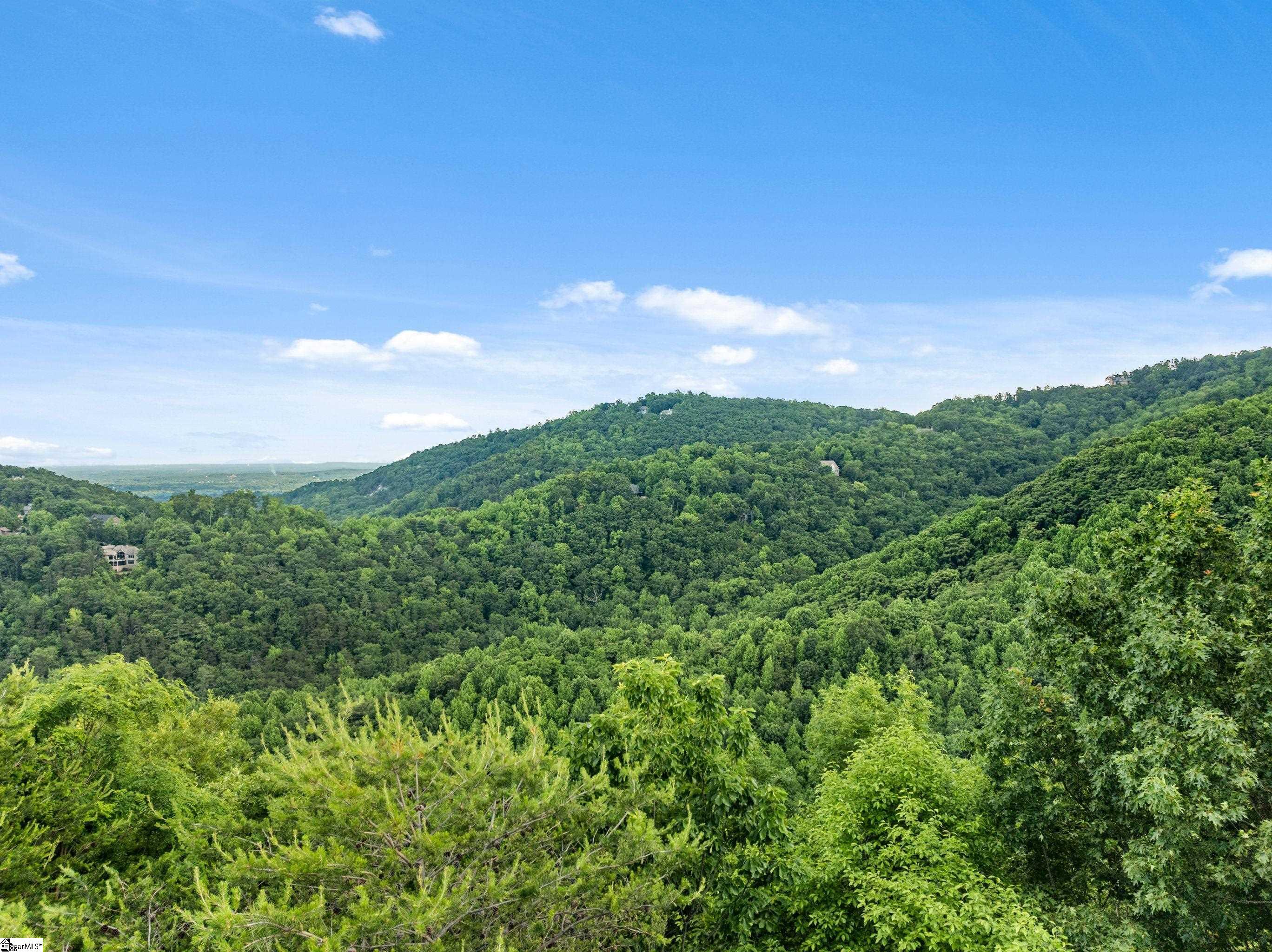214 Craggy Rock Lane, Landrum SC 29356
