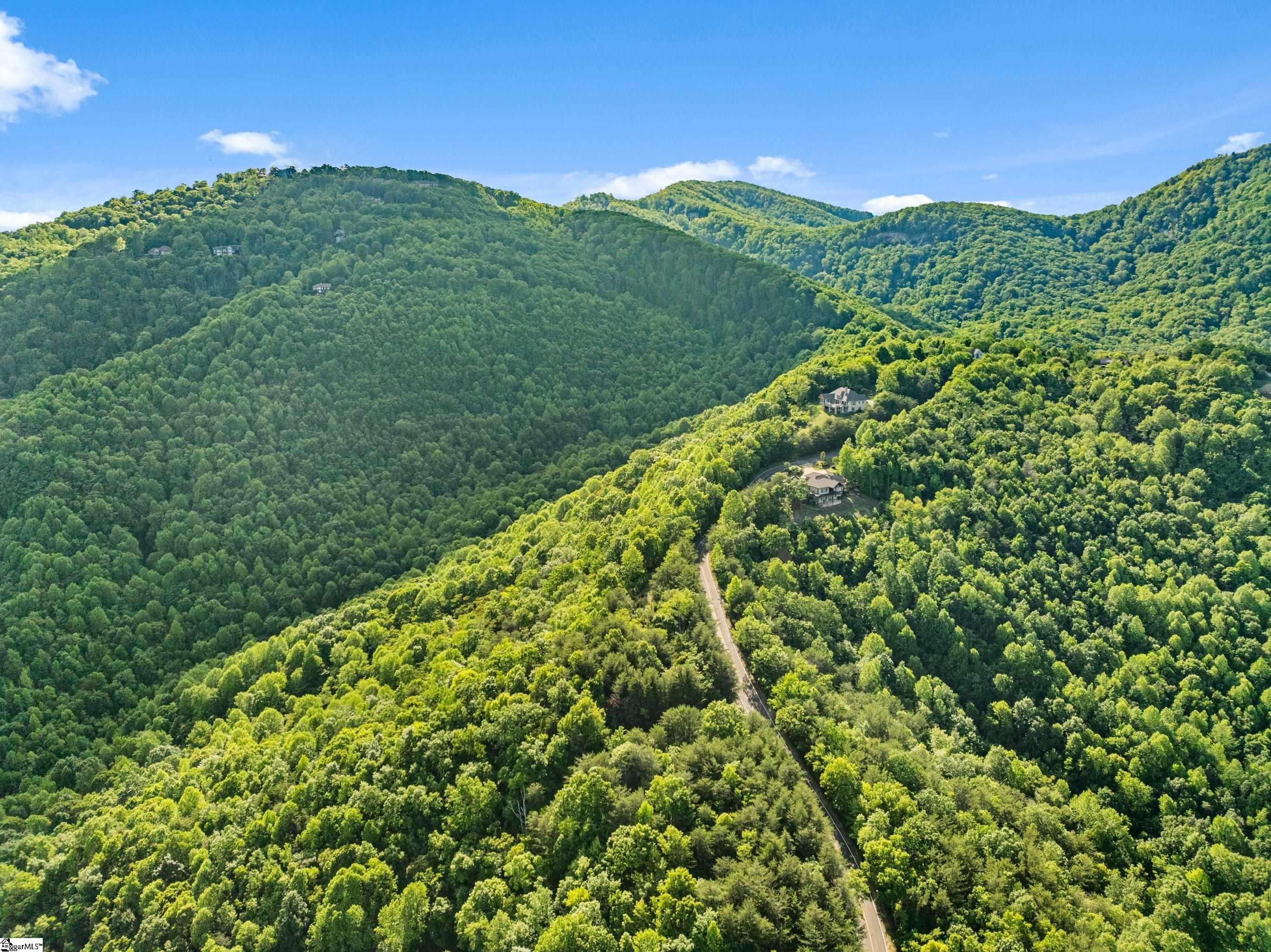 214 Craggy Rock Lane, Landrum SC 29356