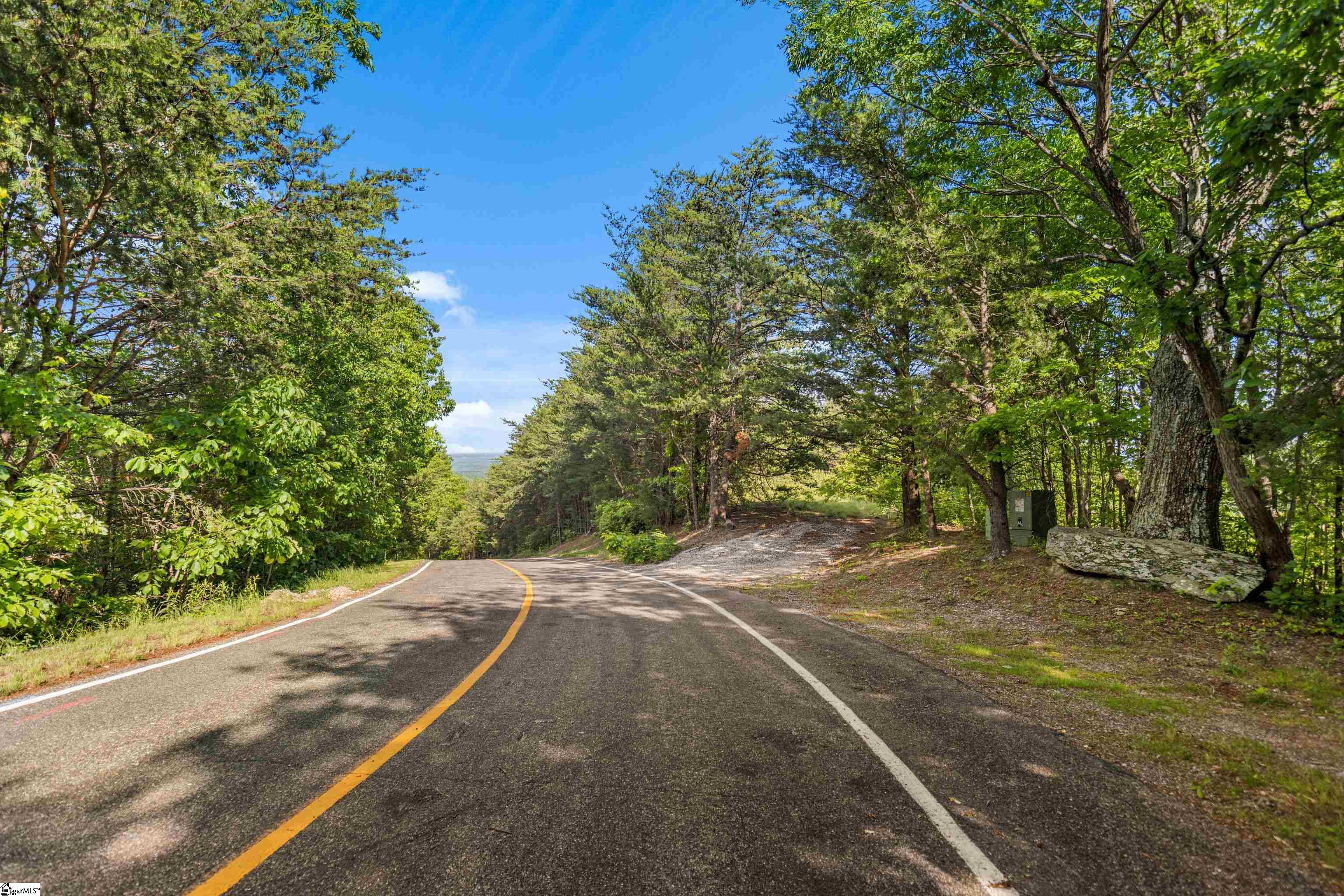 214 Craggy Rock Lane, Landrum SC 29356