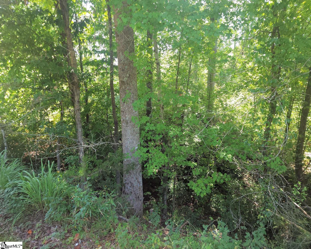 2nd image of (Undisclosed), Enoree, SC 29335 | MLS# 1601237