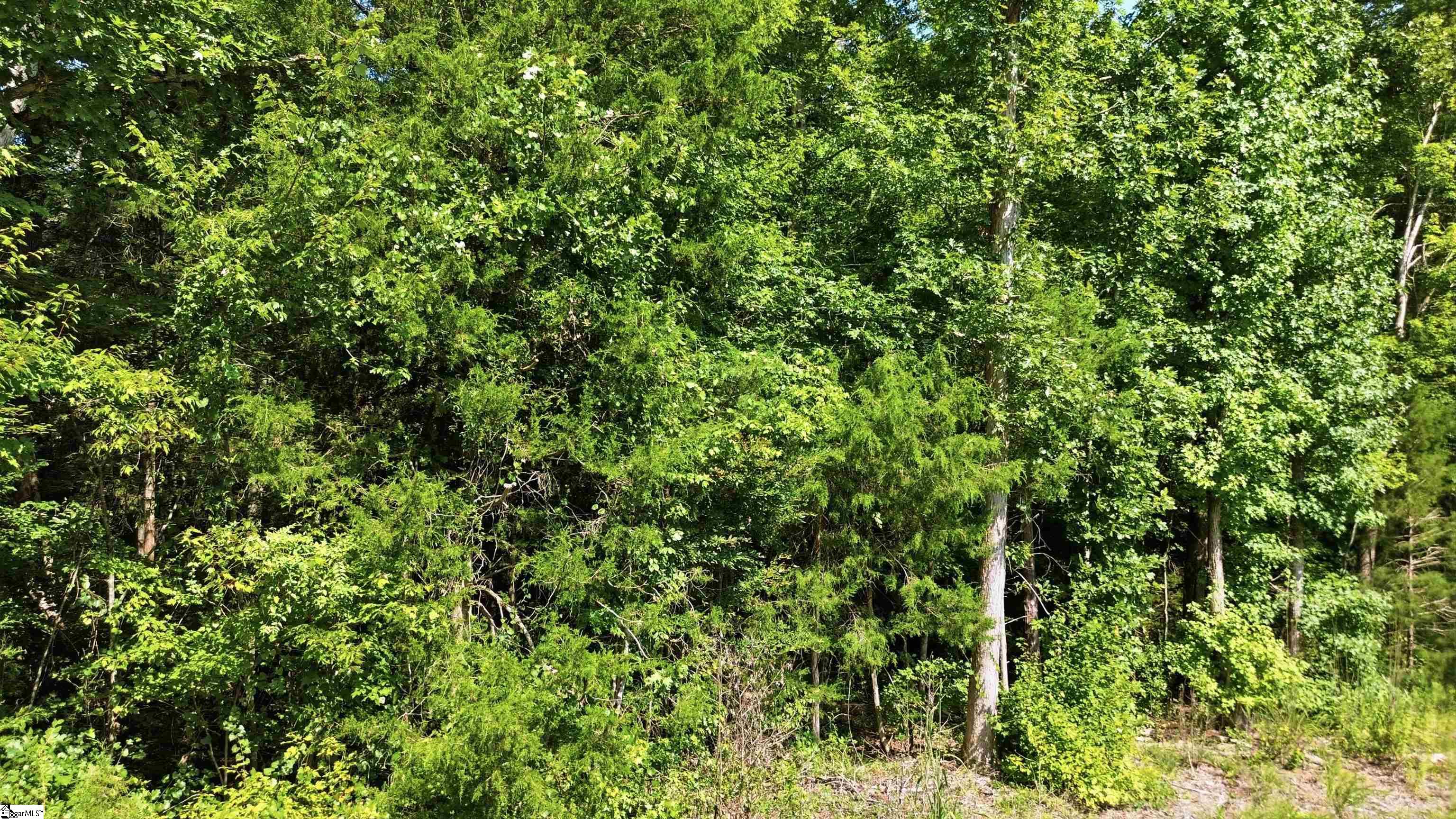 20th image of 0 Ecliptic Dr #Lot 8, Ware Shoals, SC 29692 | MLS# 1601386