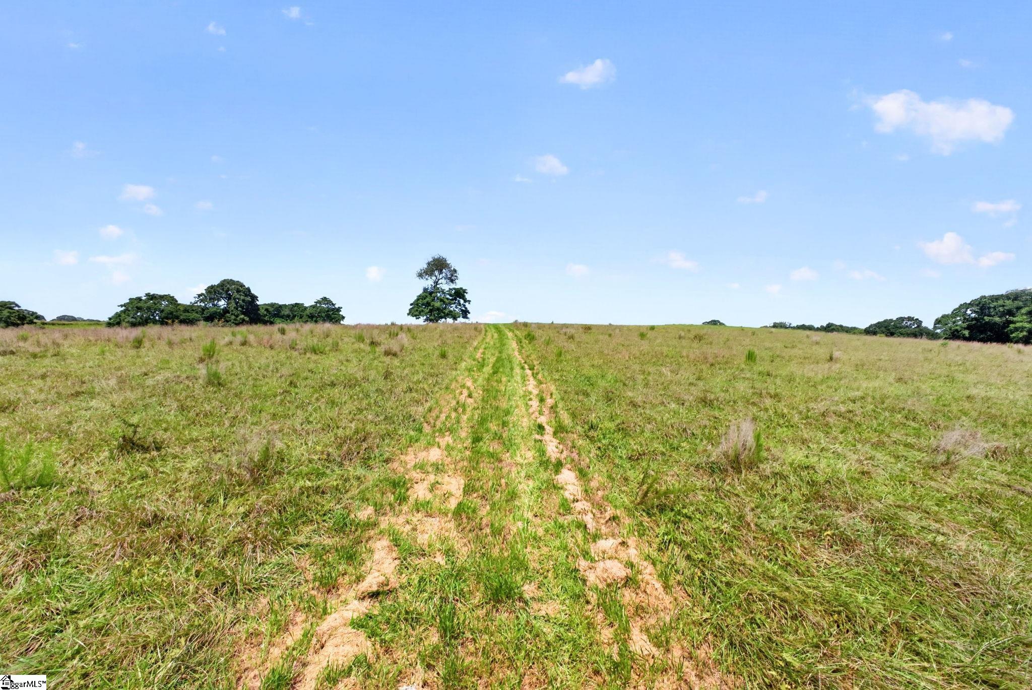 50th image of 40 Log Shoals Rd, Piedmont, SC 29673 | MLS# 1601394