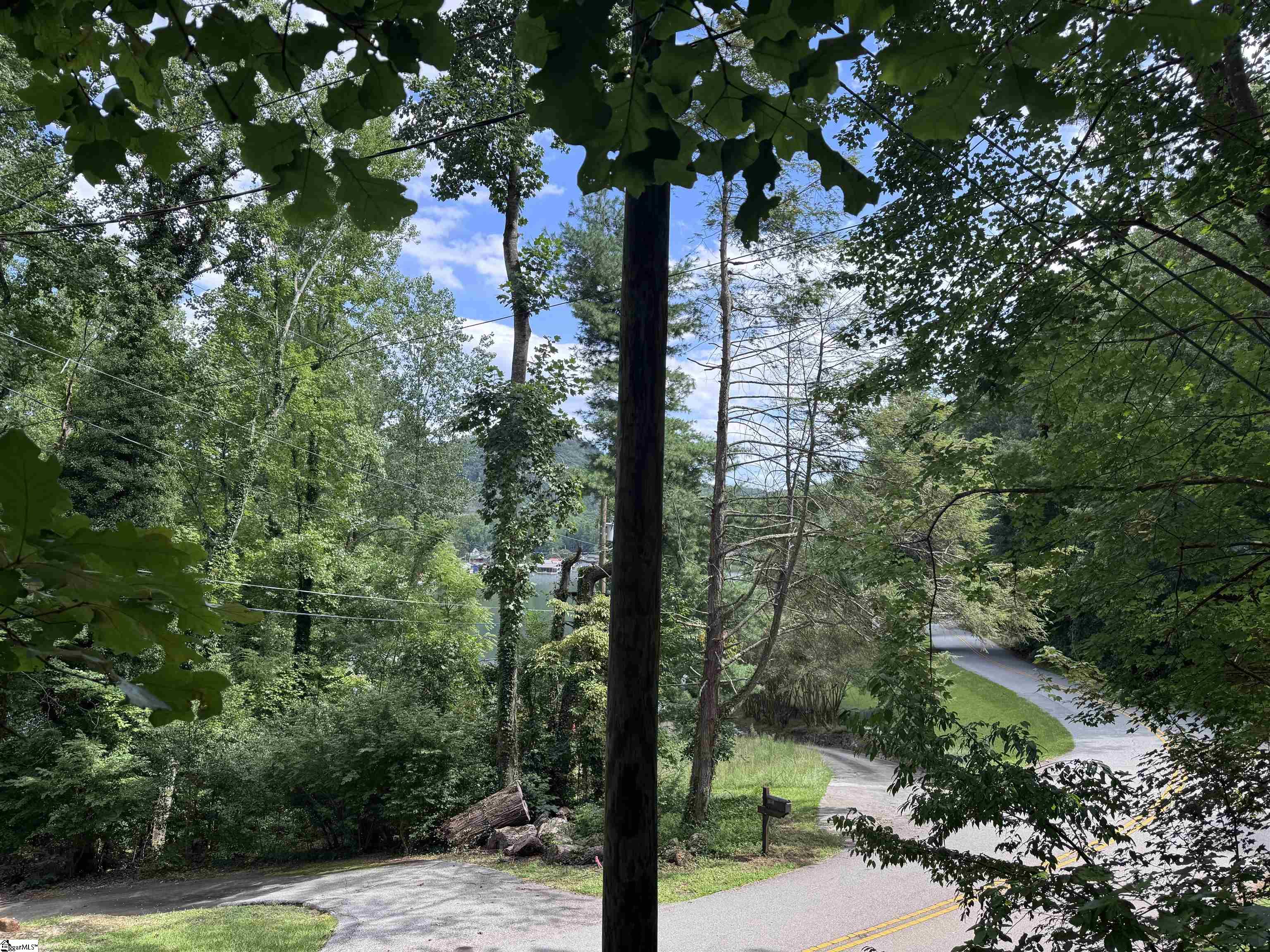 0 W Lakeshore Drive, Landrum SC 29356-9372,Landrum,Greenville,Land