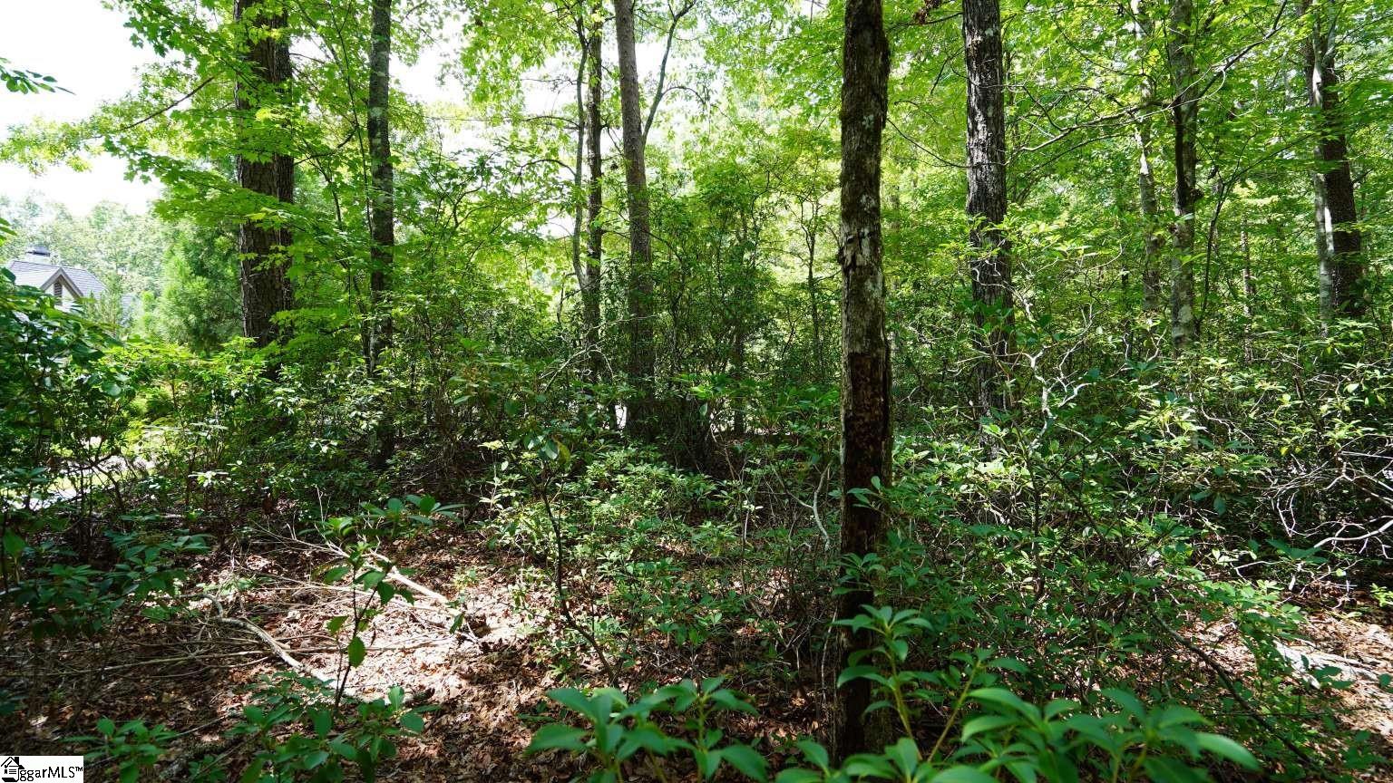 213 Ridge Haven Trail