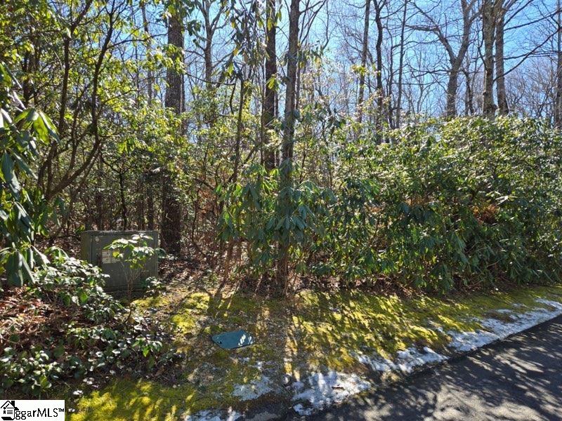 112 Hemlock Trail