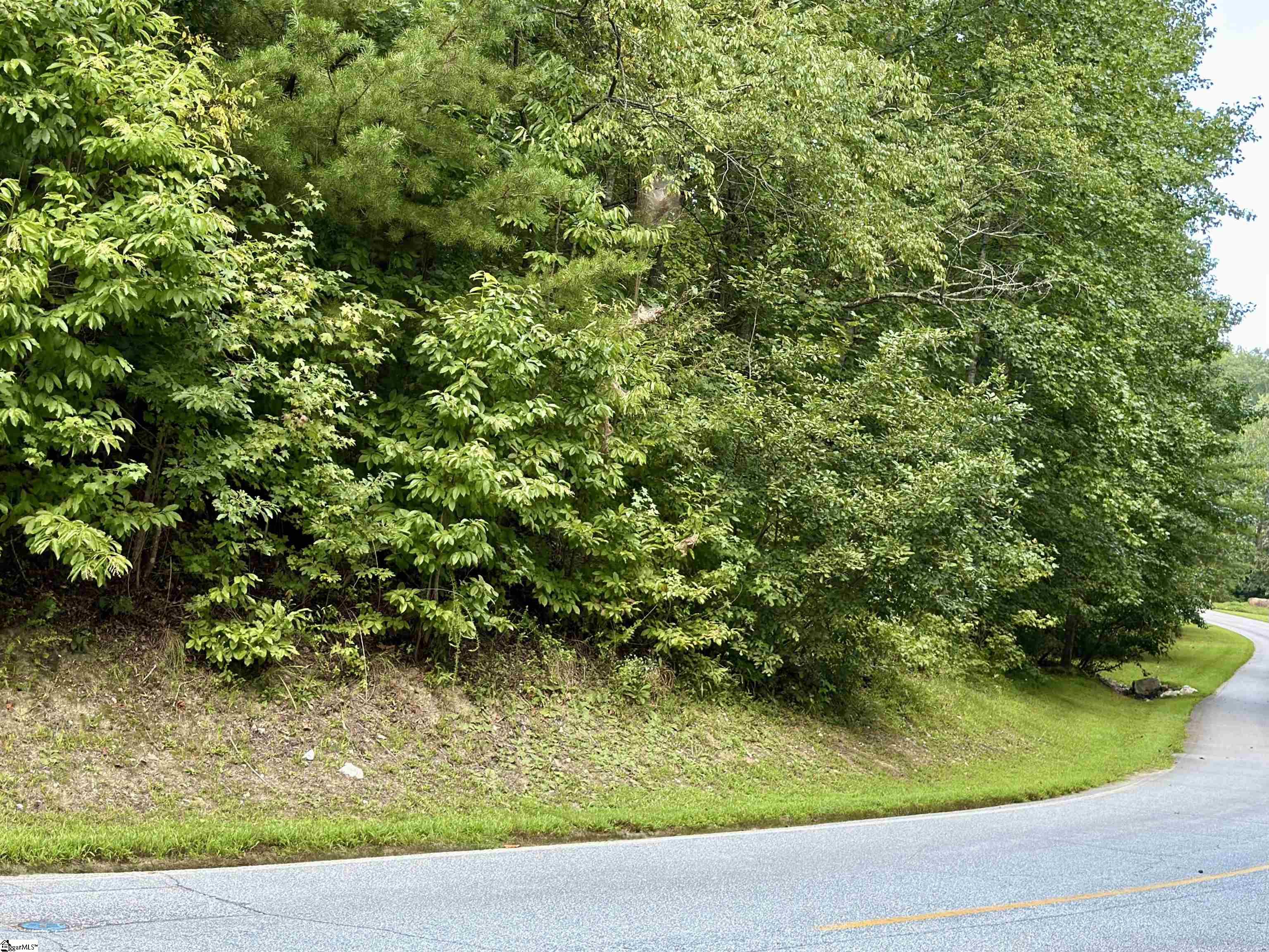 100 Cottage Side Trail