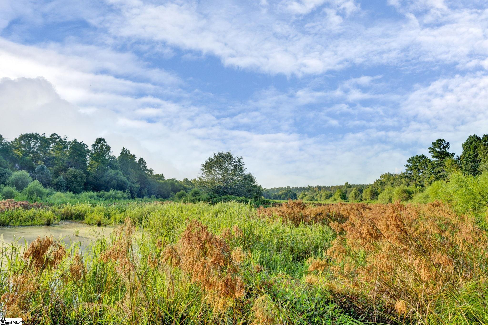 Photo 26 of Land for sale at 542 Browns Crk Church Rd, Union, SC 29379 | MLS# 1603004 | Listing updated on 2026-09-04