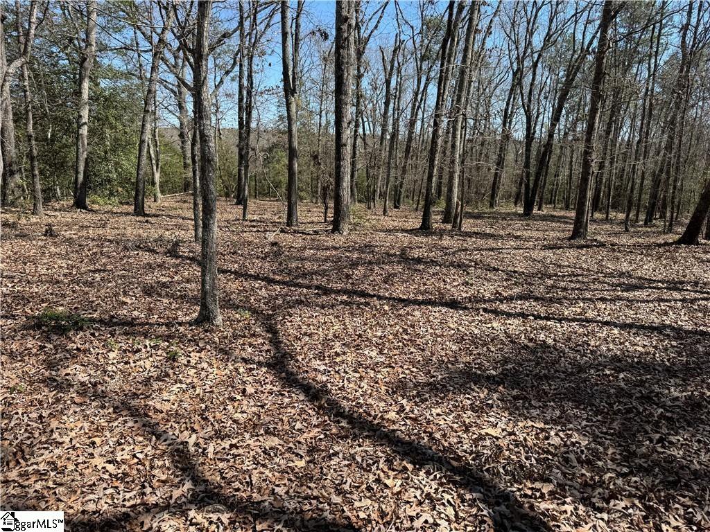  Golden Hickory Drive