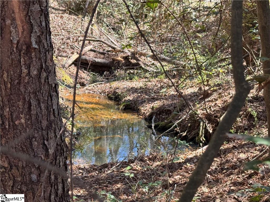  Golden Hickory Drive