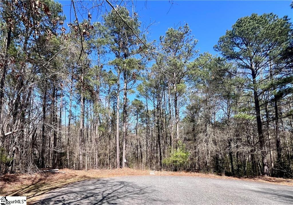  Golden Hickory Drive
