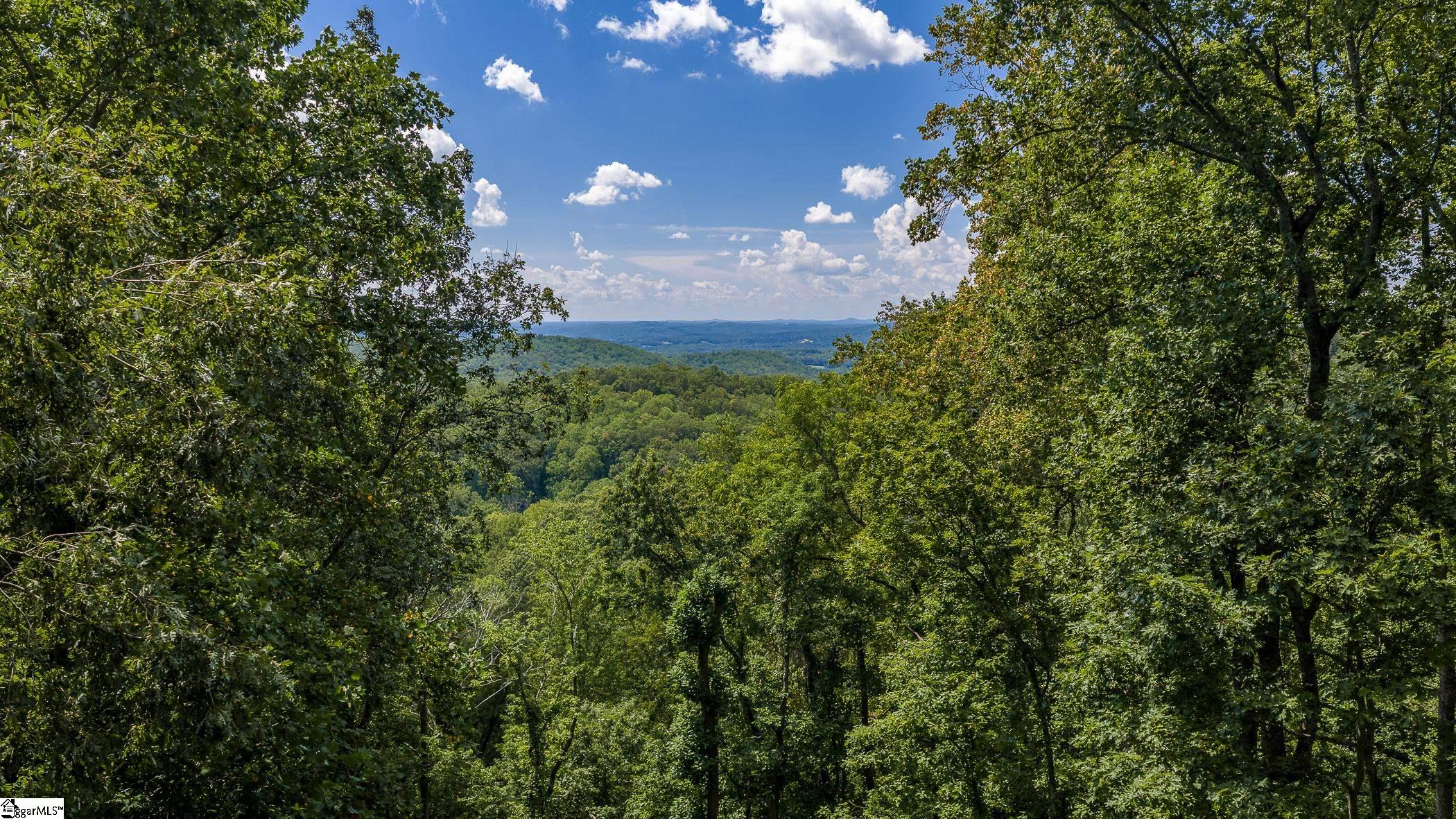 130 Raptor Way, Landrum SC 29356