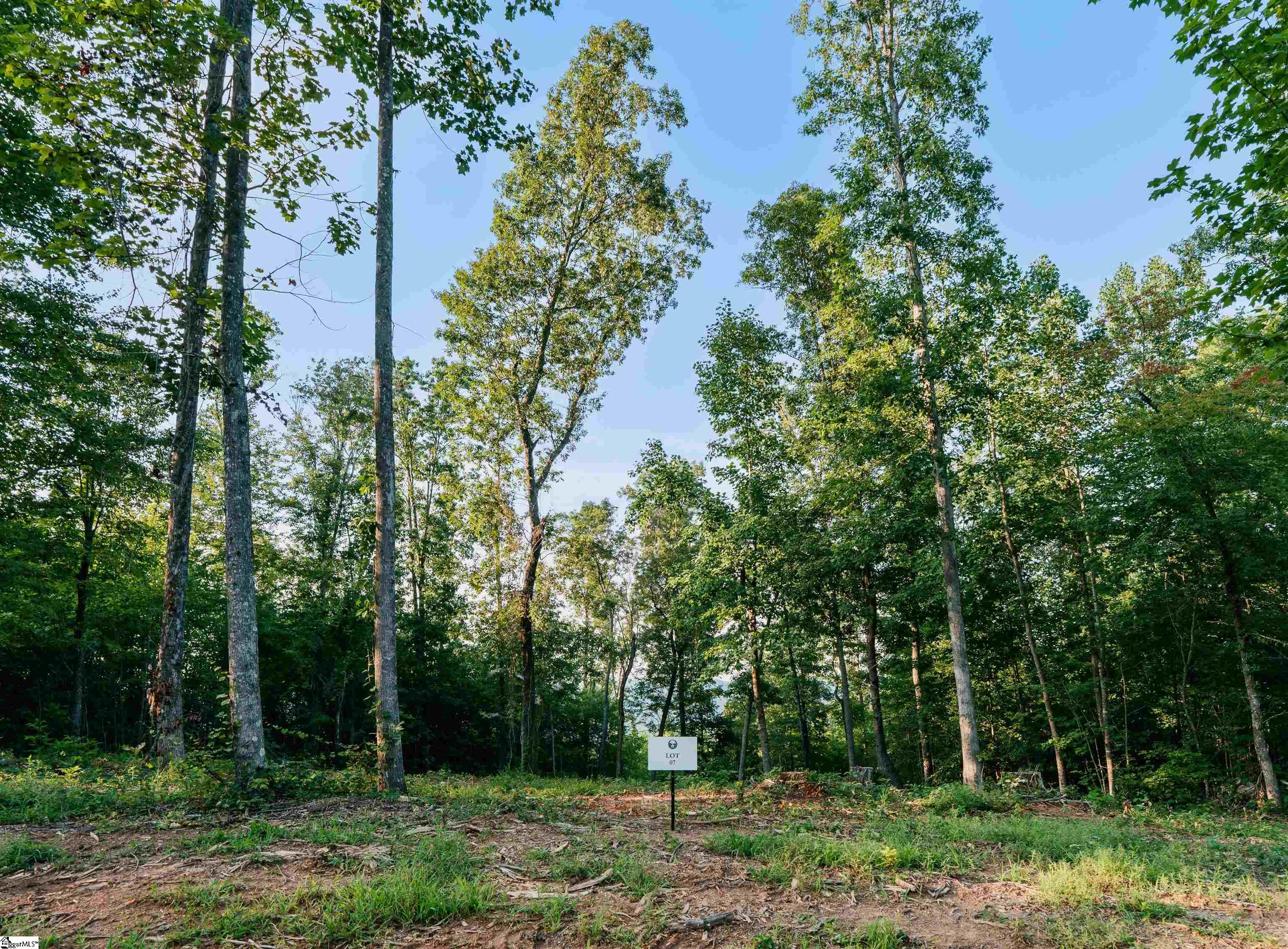 200 Chestnut Mountain Road