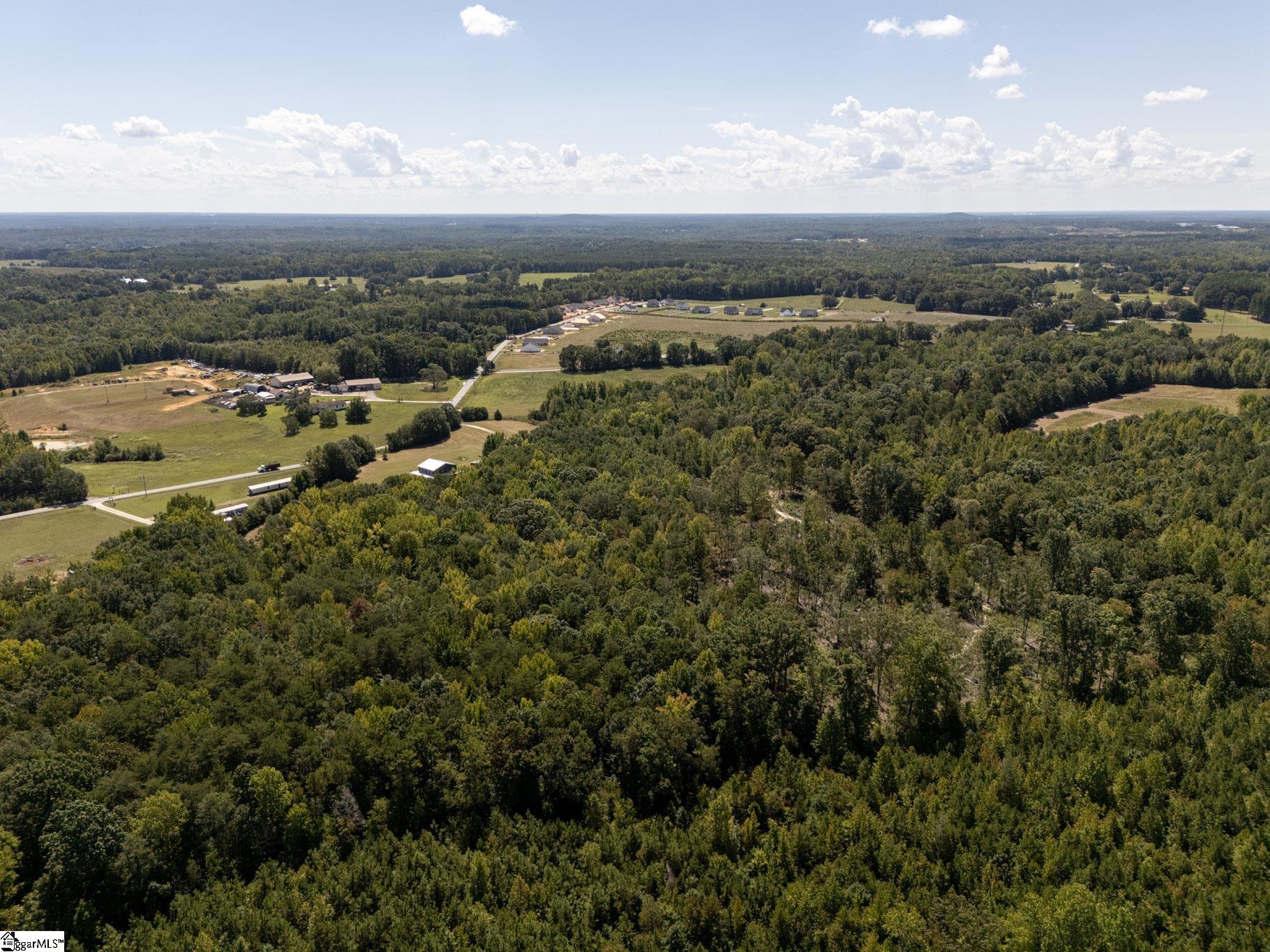 0 Henderson Road, Gray Court SC 29645