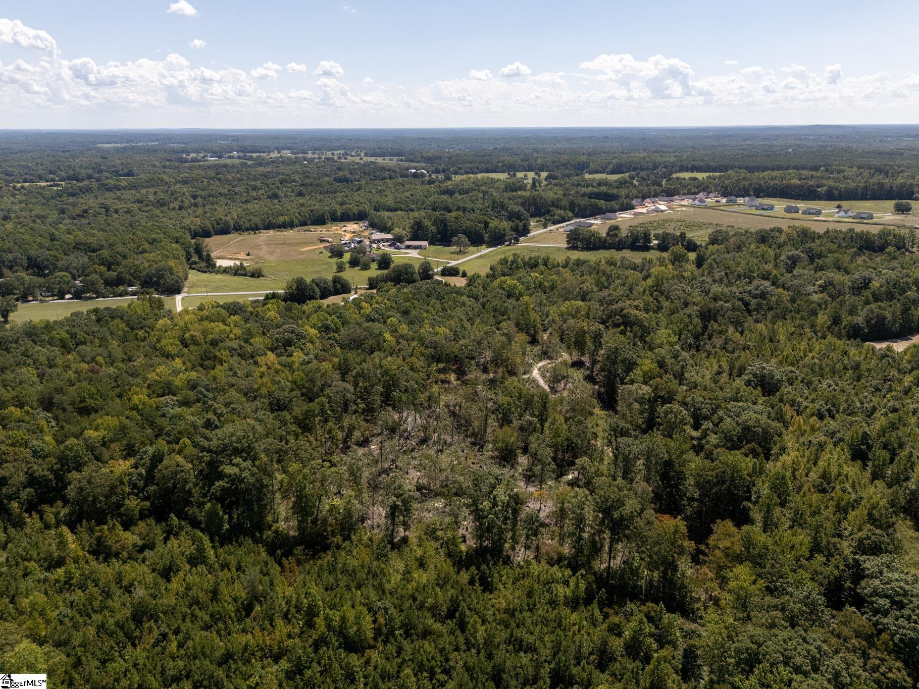 0 Henderson Road, Gray Court SC 29645