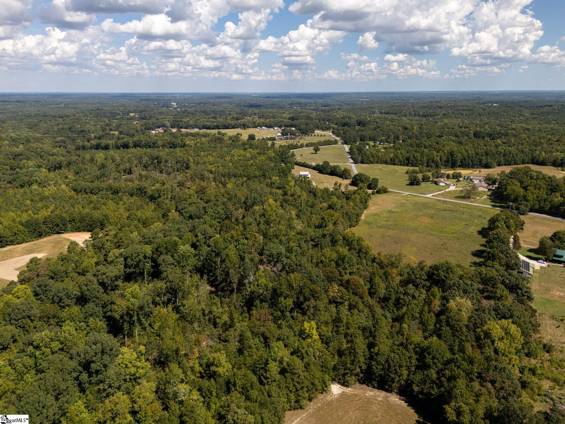 0 Henderson Road, Gray Court SC 29645