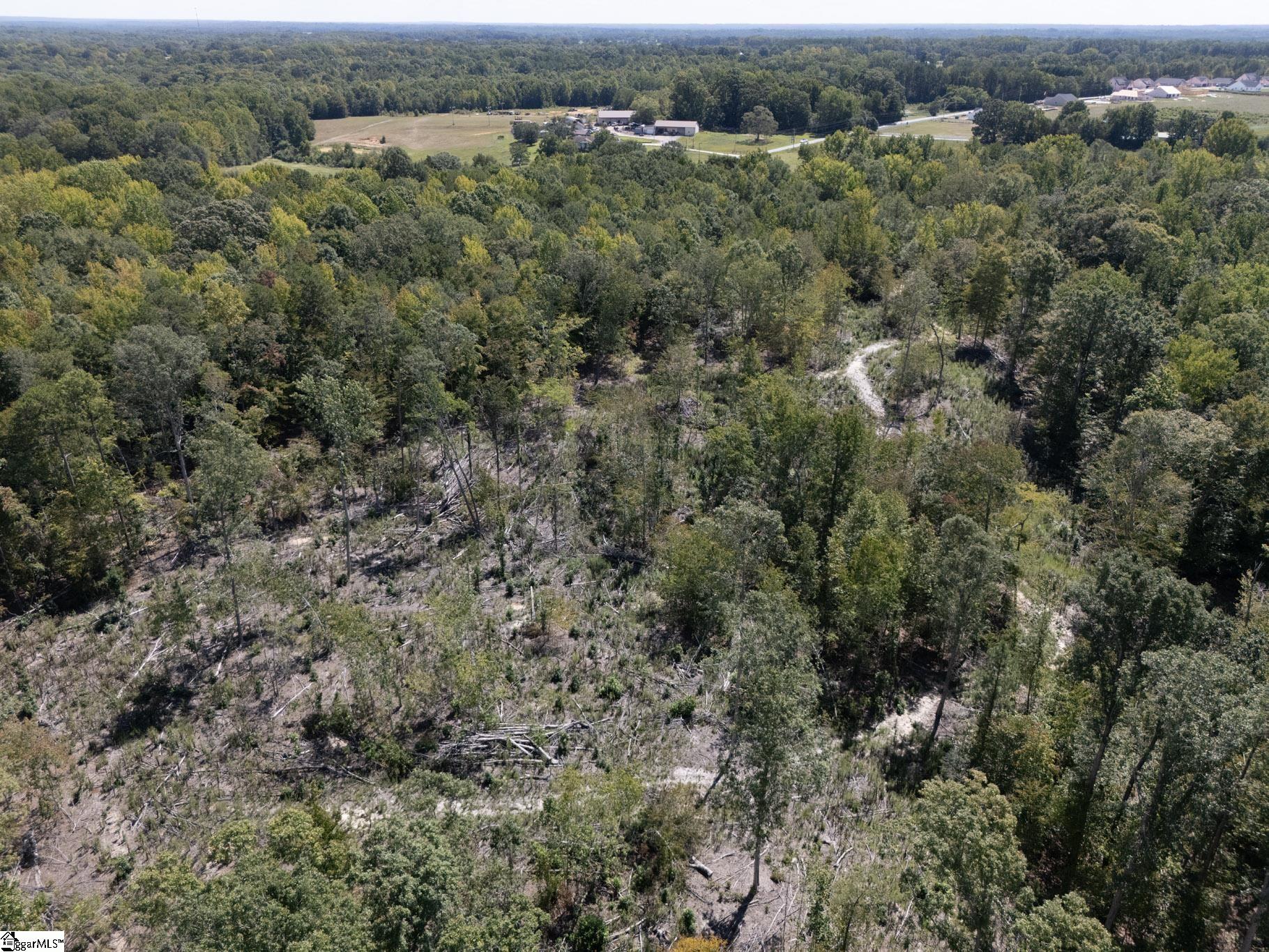 0 Henderson Road, Gray Court SC 29645