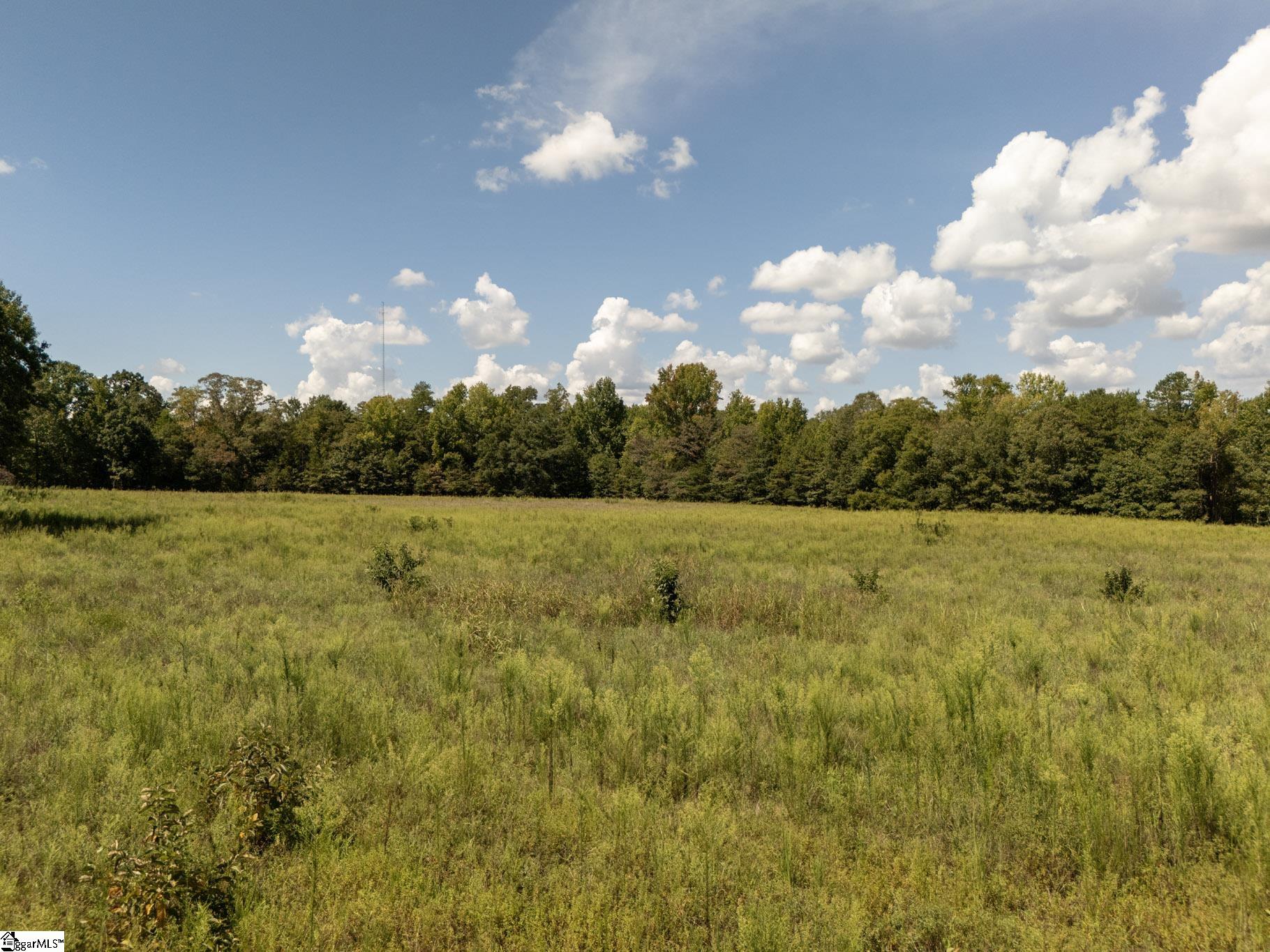 0 Henderson Road, Gray Court SC 29645