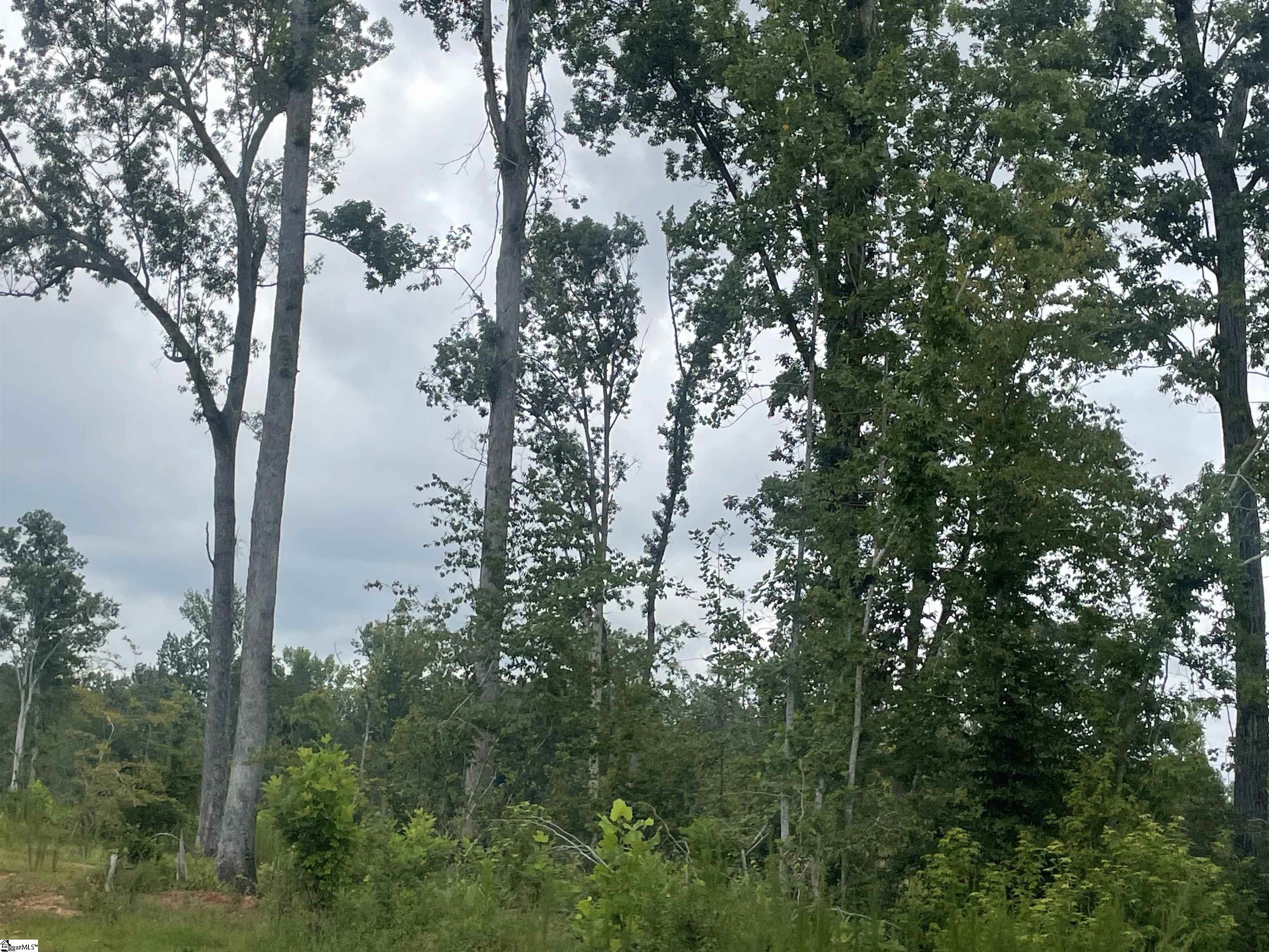 00 Holmes Bridge Road, Laurens SC 29360