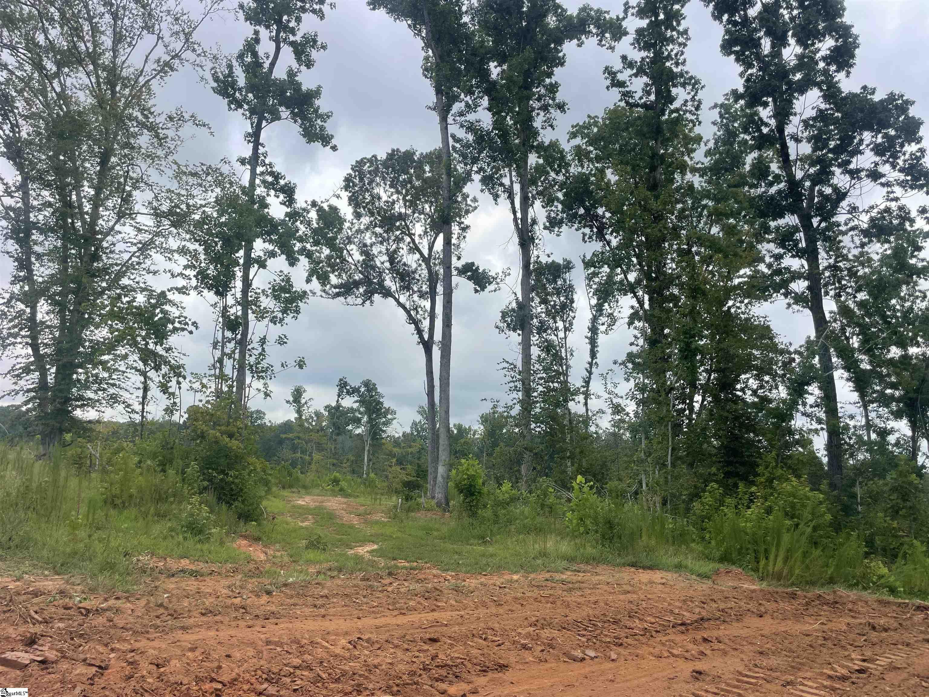 00 Holmes Bridge Road, Laurens SC 29360