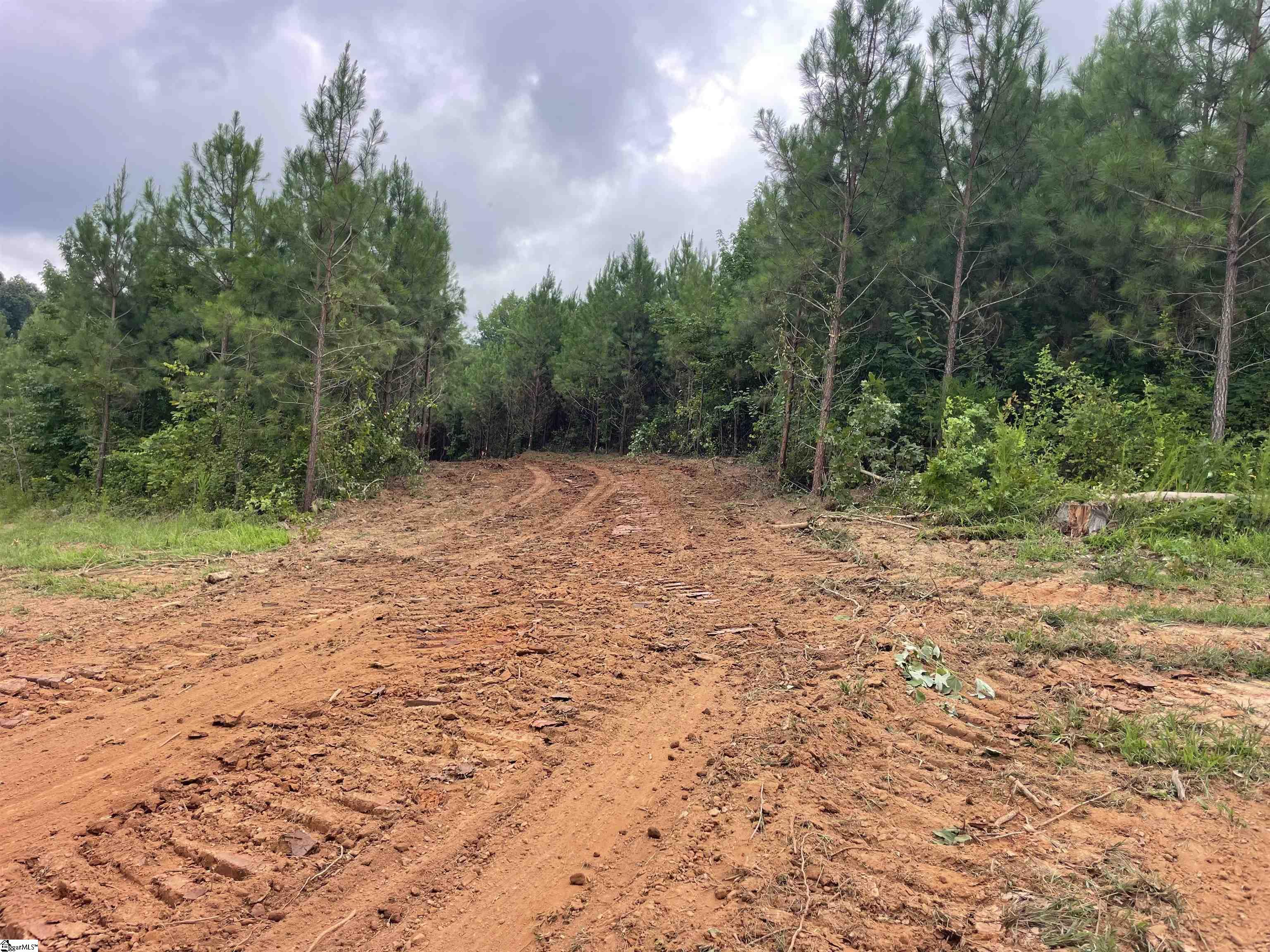 00 Holmes Bridge Road, Laurens SC 29360