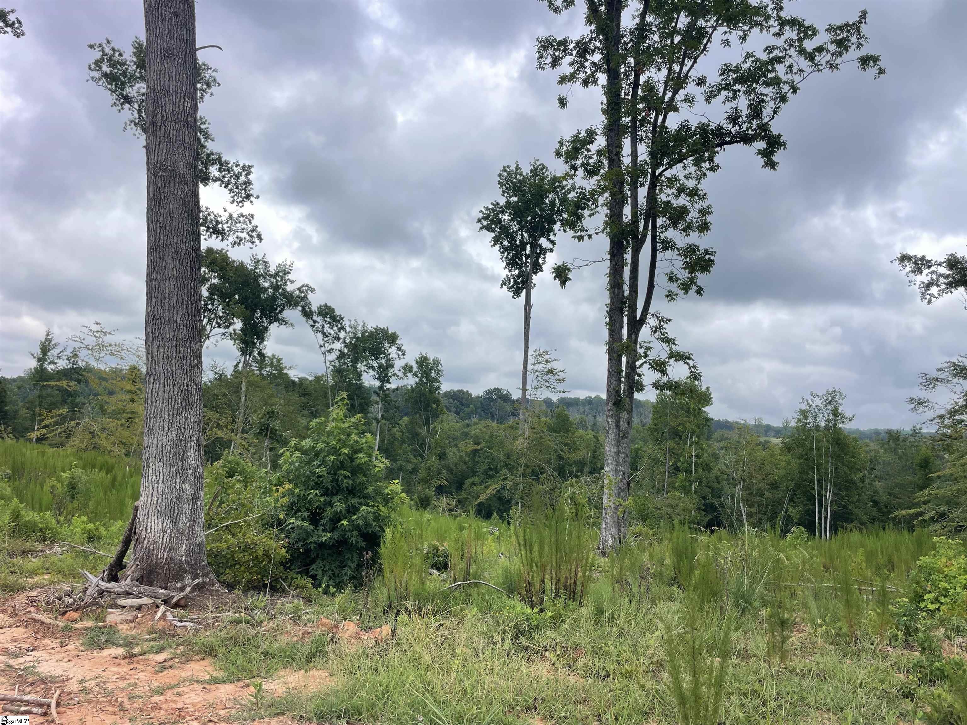 00 Holmes Bridge Road, Laurens SC 29360