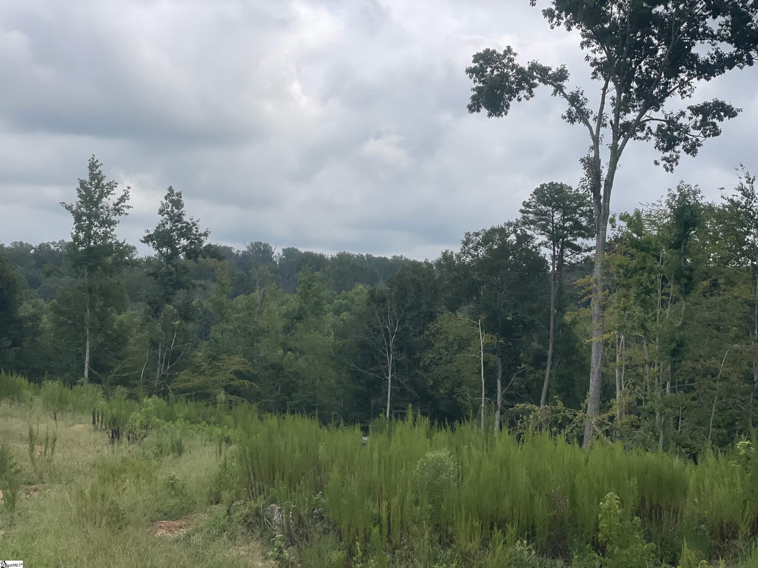 00 Holmes Bridge Road, Laurens SC 29360