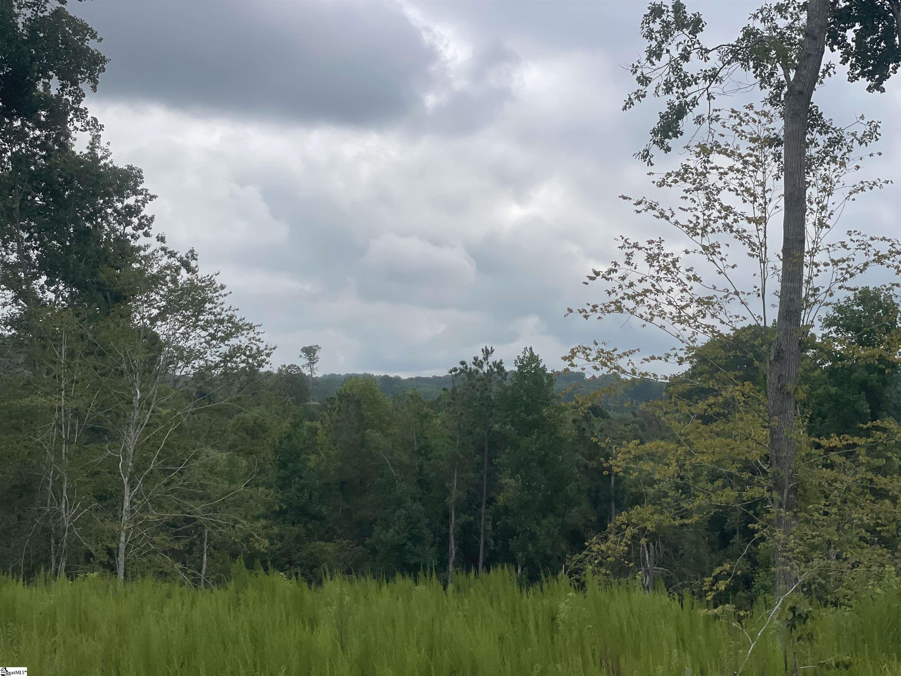 00 Holmes Bridge Road, Laurens SC 29360