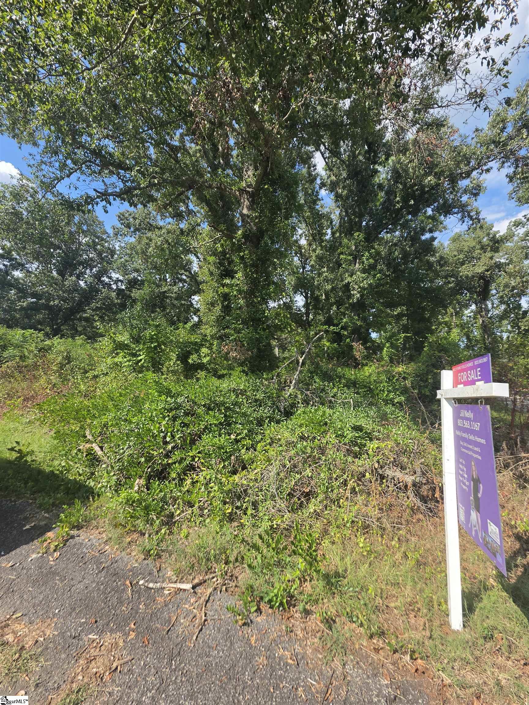 577 Rosemont Circle, Waterloo SC 29384
