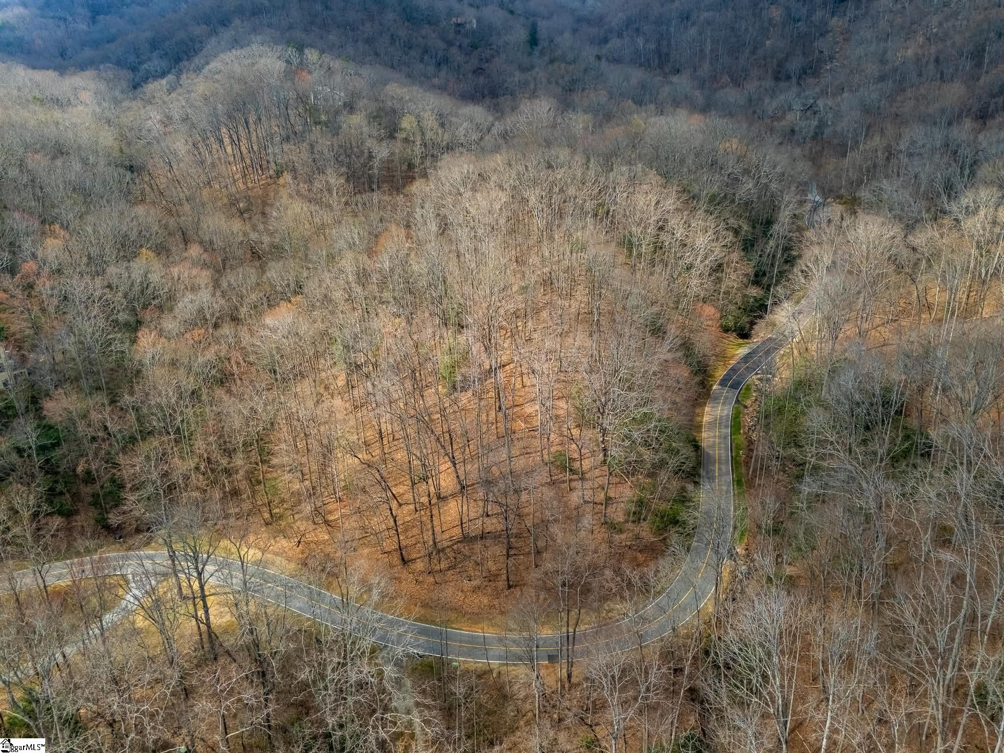 Photo 2 of Land for sale at 301 Limestone Trl, Landrum, SC 29356 | MLS# 1604034 | Listing updated on 2026-09-17