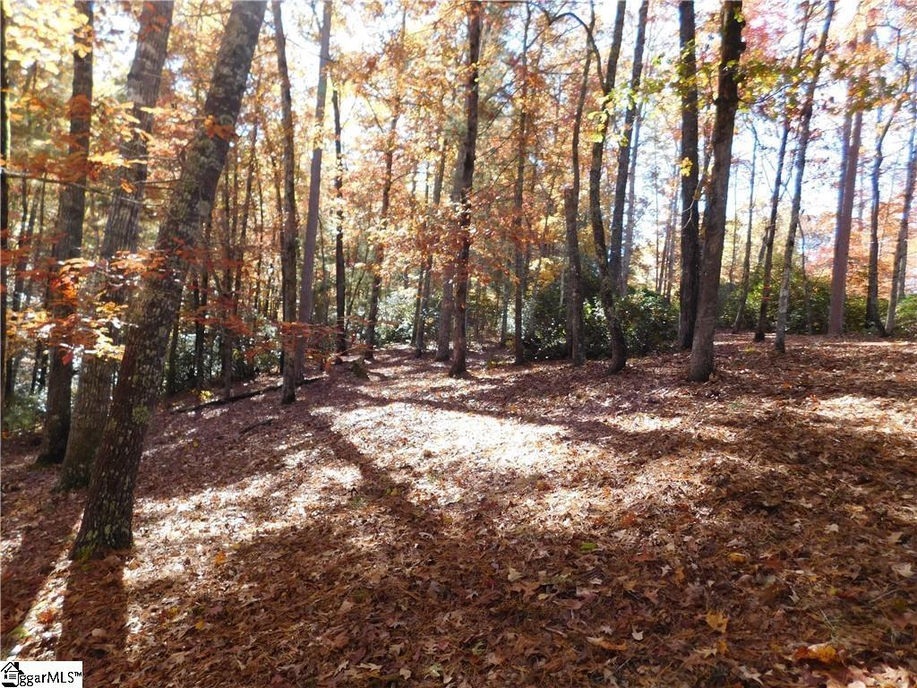 130 Cliffs Falls Parkway